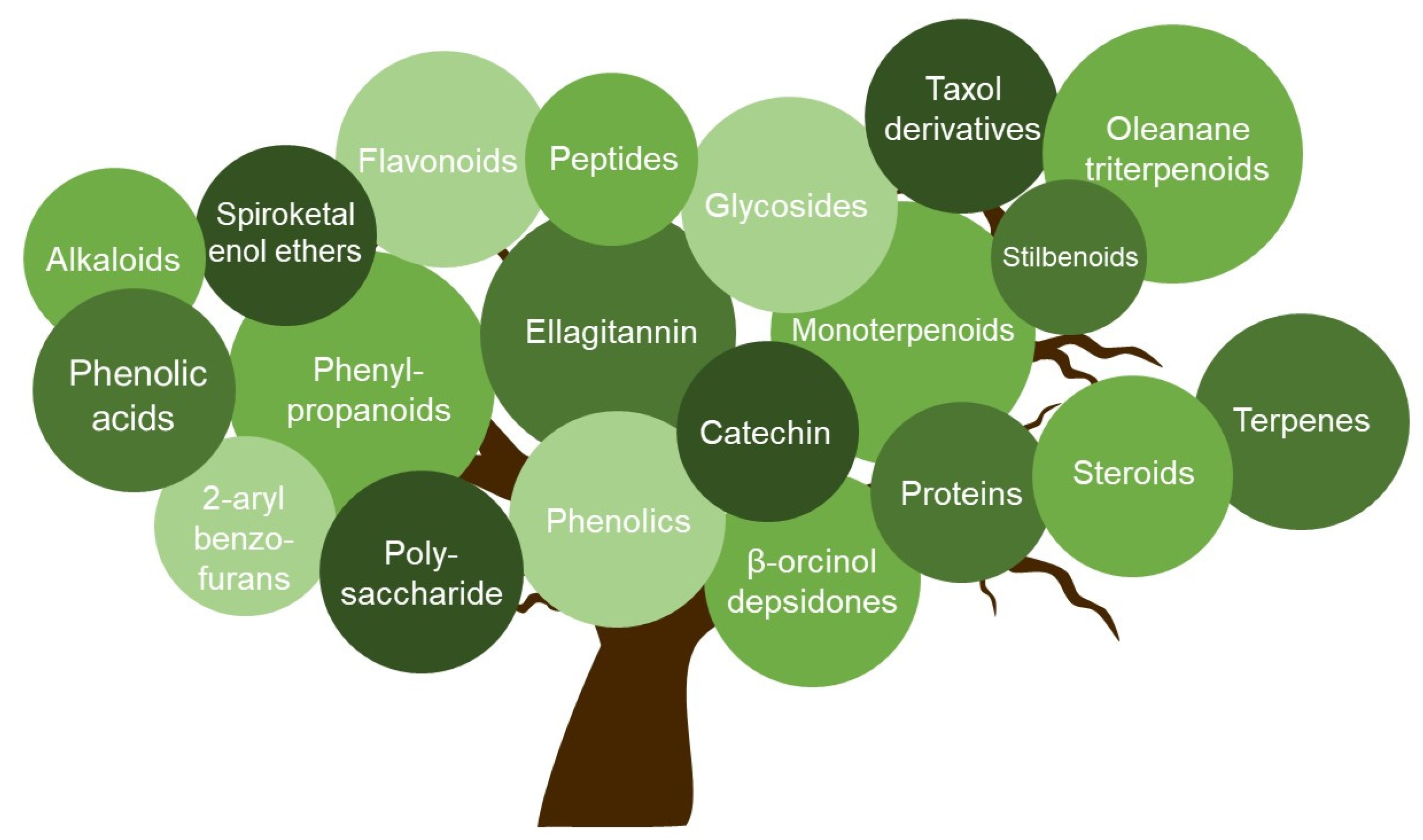Viruses 13 01386 g001