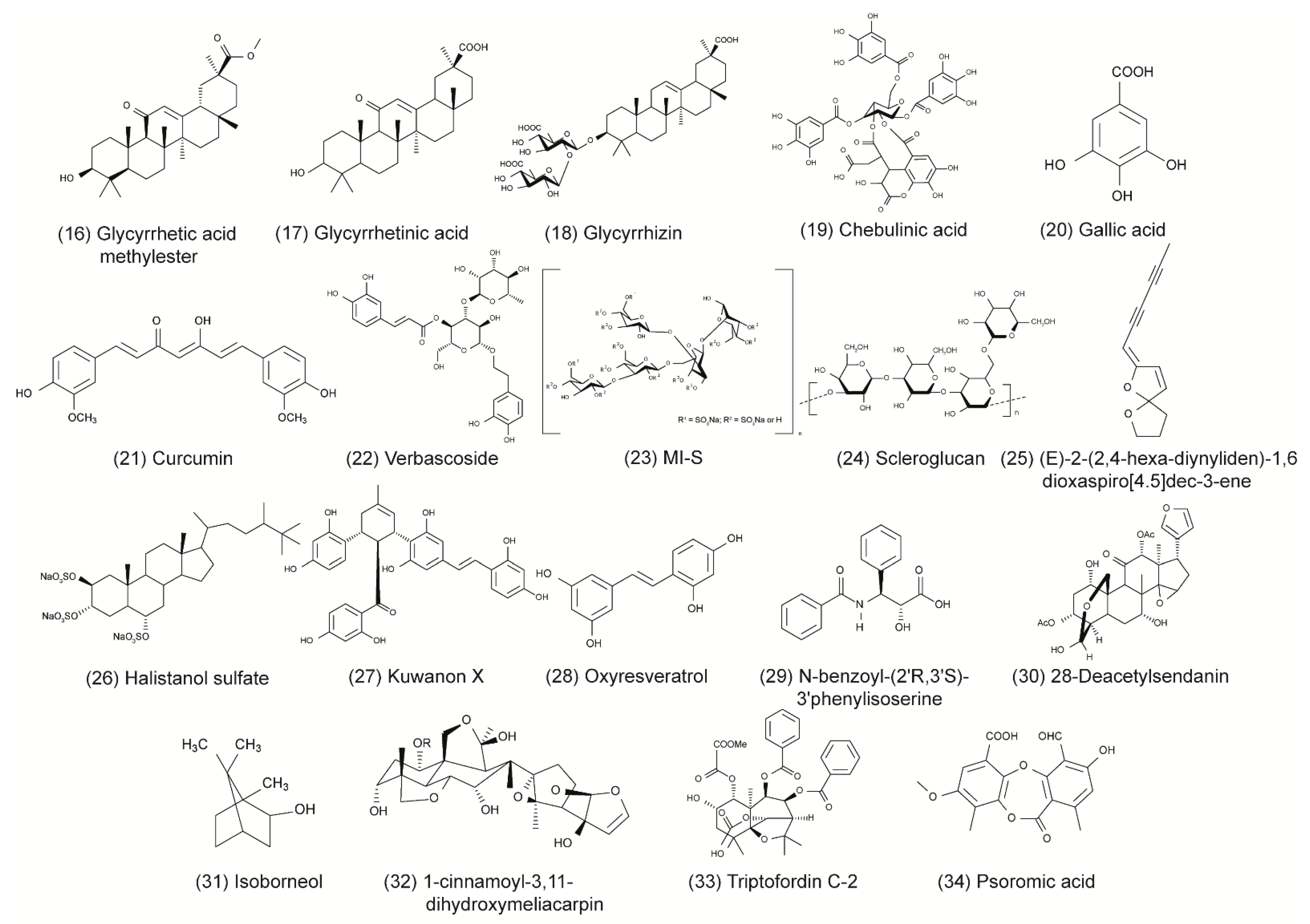 Viruses 13 01386 g002b