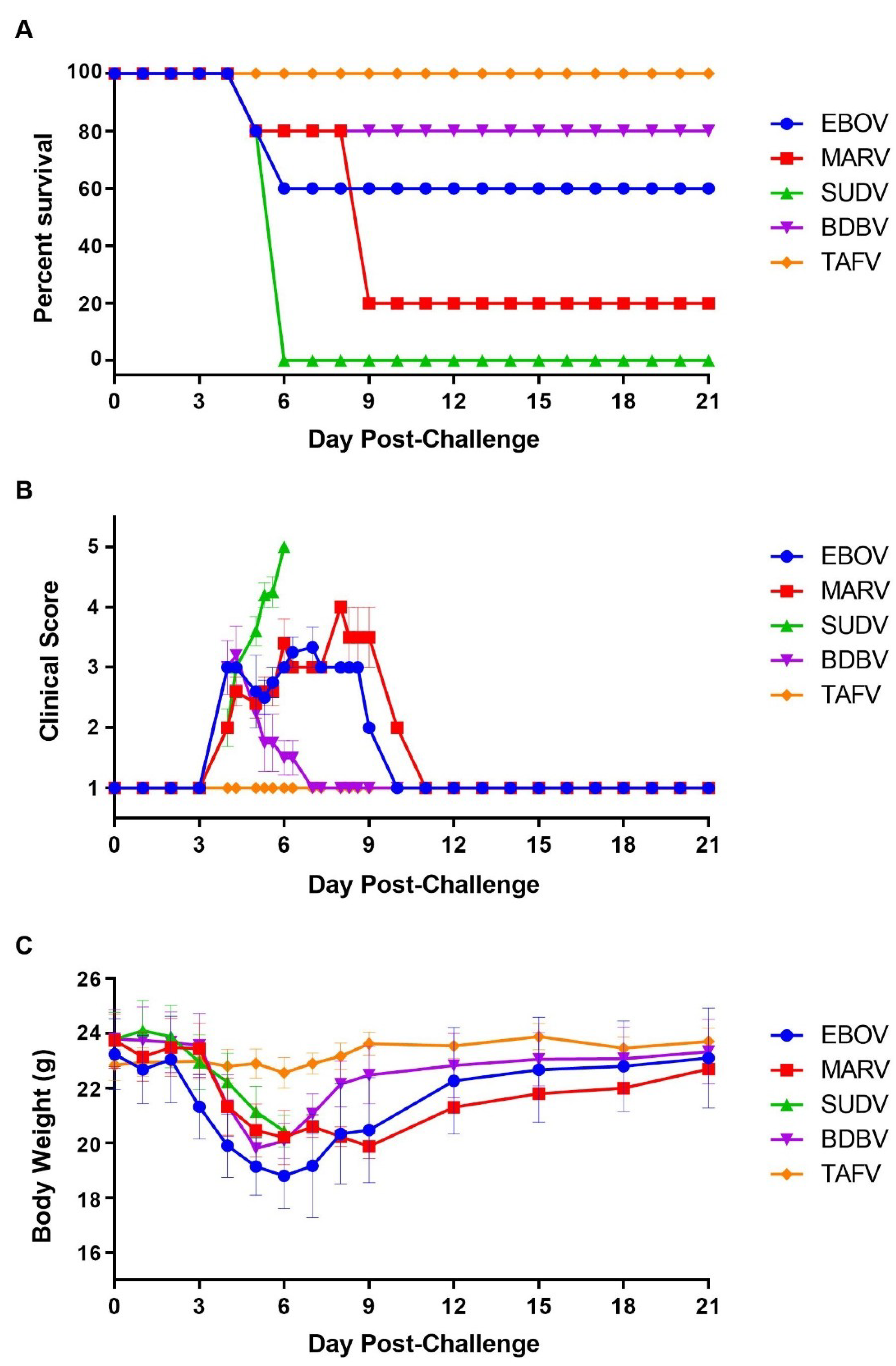 Viruses 13 01388 g001