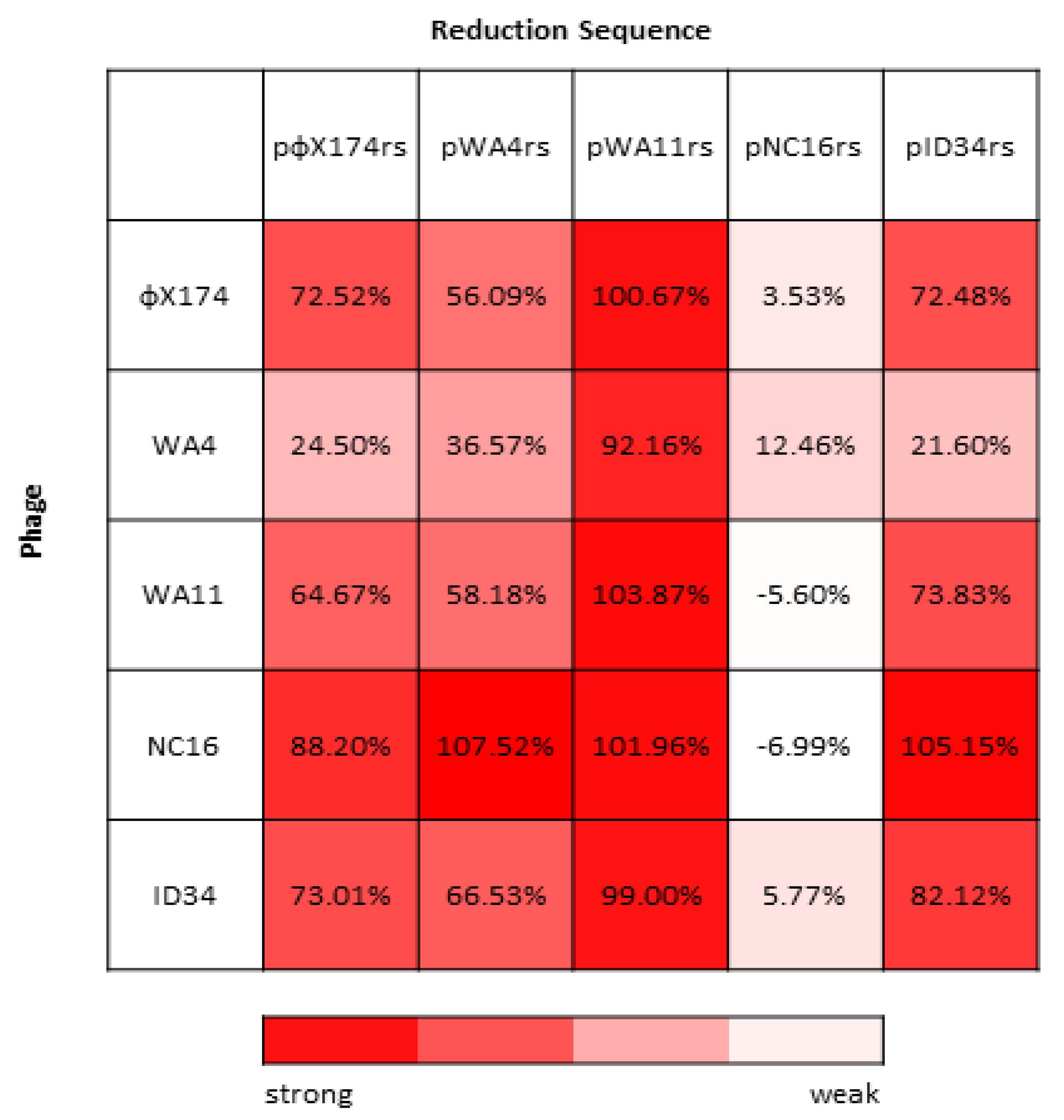 Viruses 13 01389 g004
