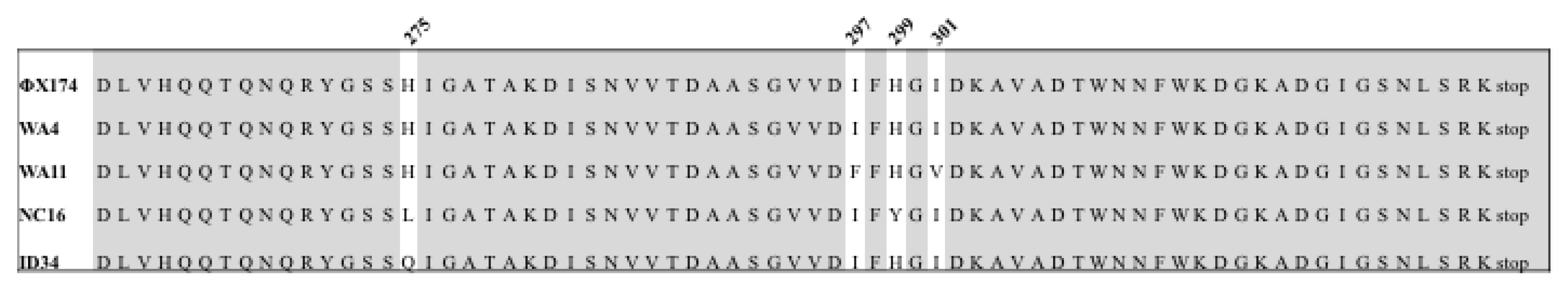 Viruses 13 01389 g005