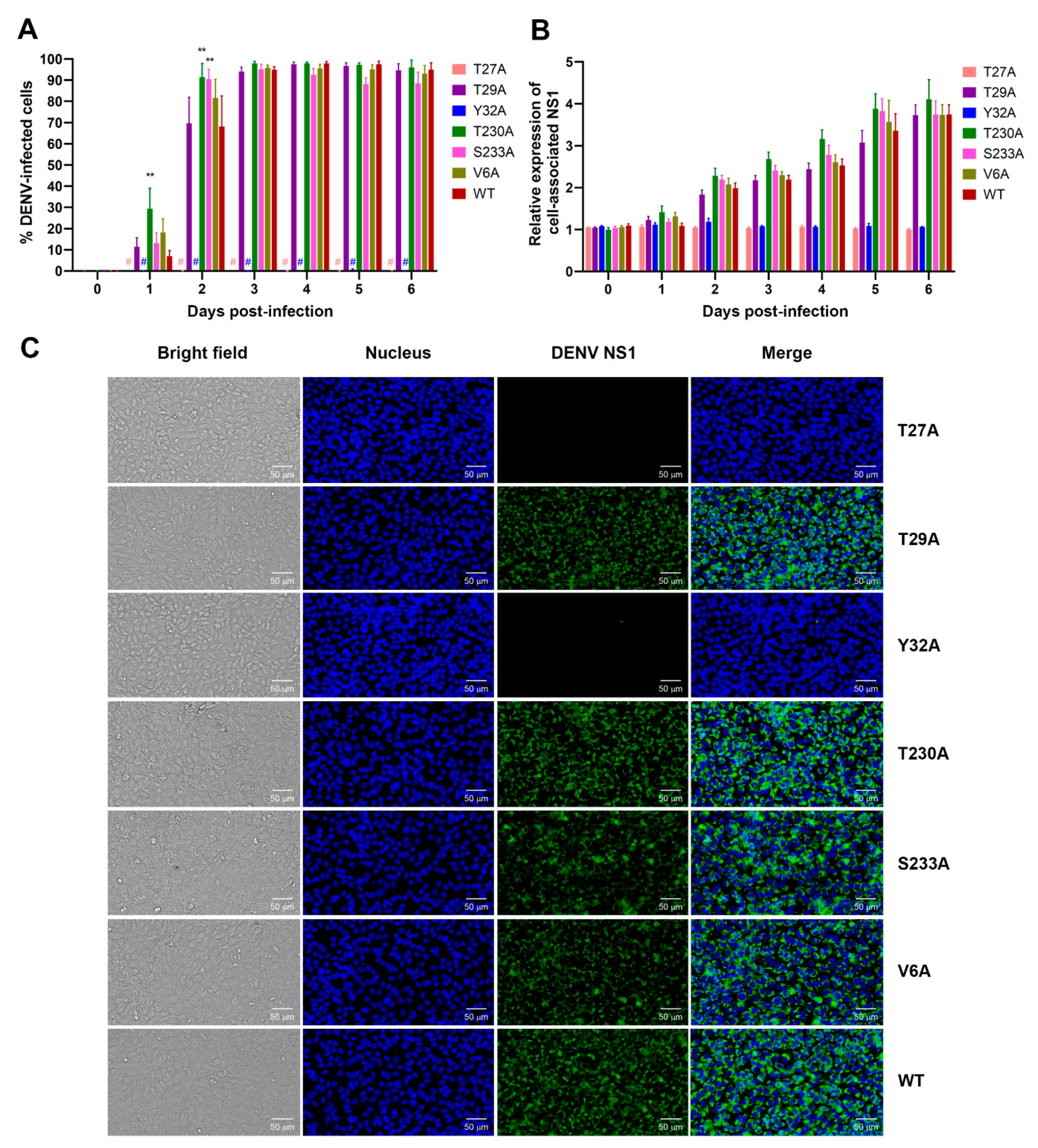 Viruses 13 01393 g004