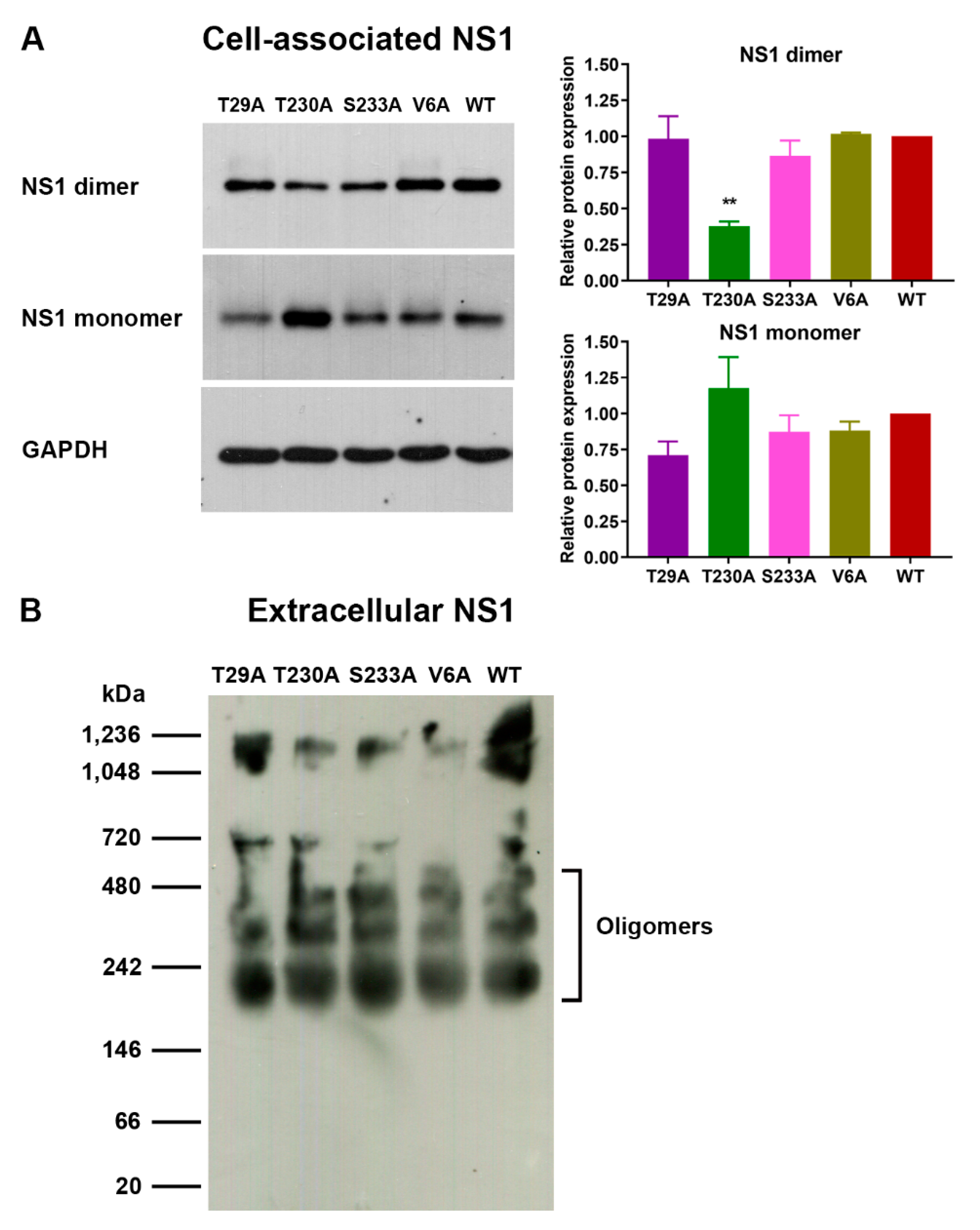 Viruses 13 01393 g006
