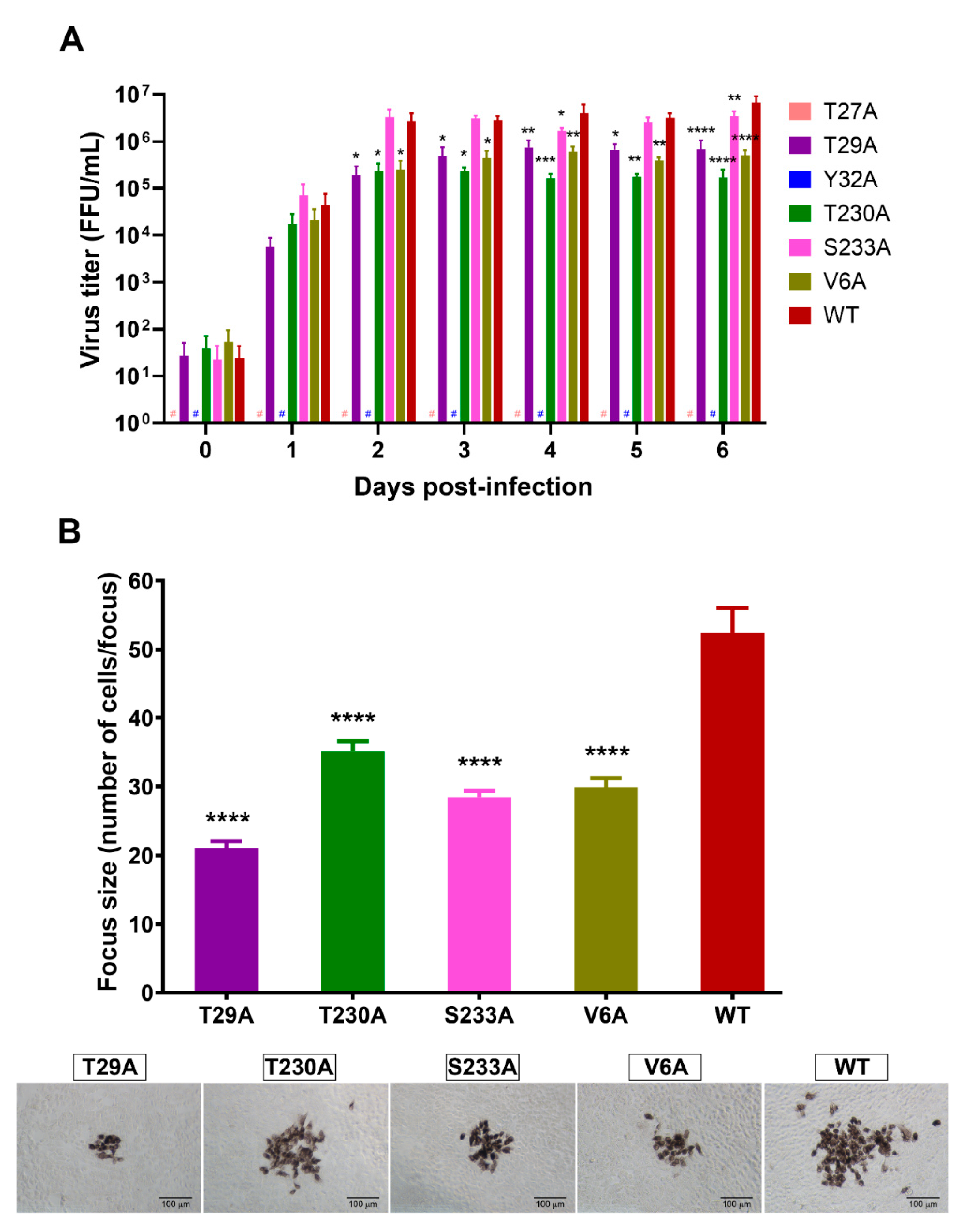 Viruses 13 01393 g007