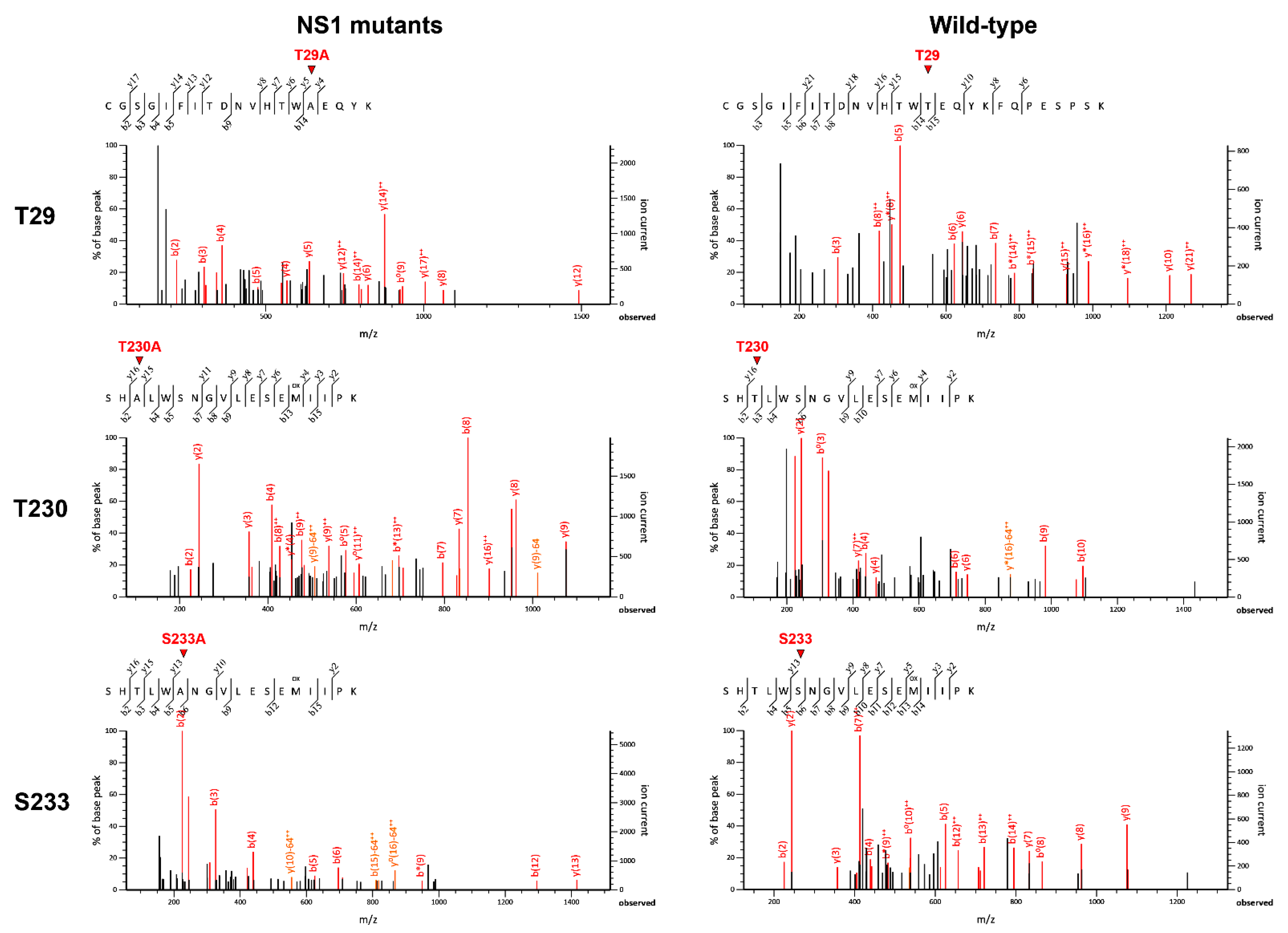 Viruses 13 01393 g008