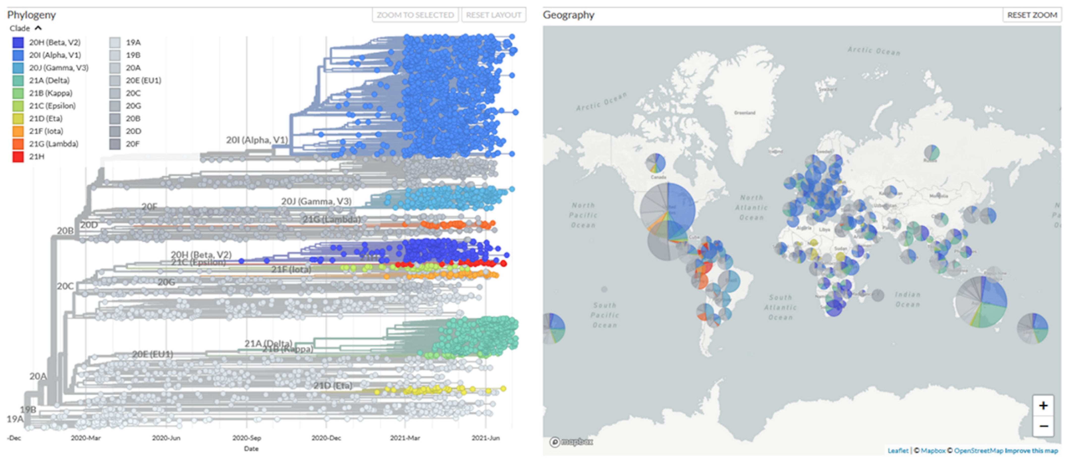 Viruses 13 01397 g001