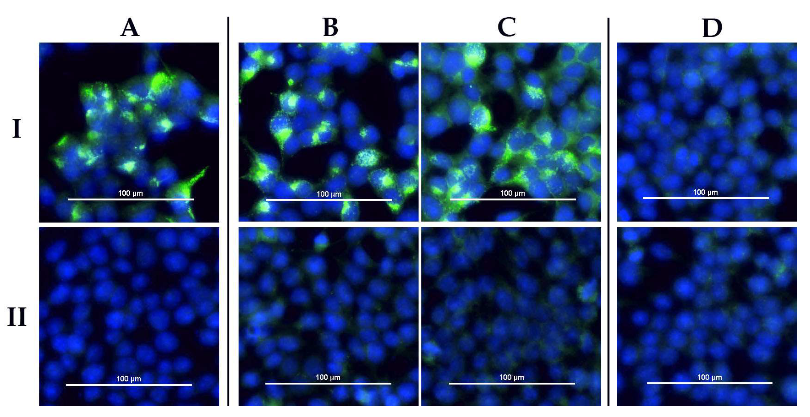 Viruses 13 01398 g006