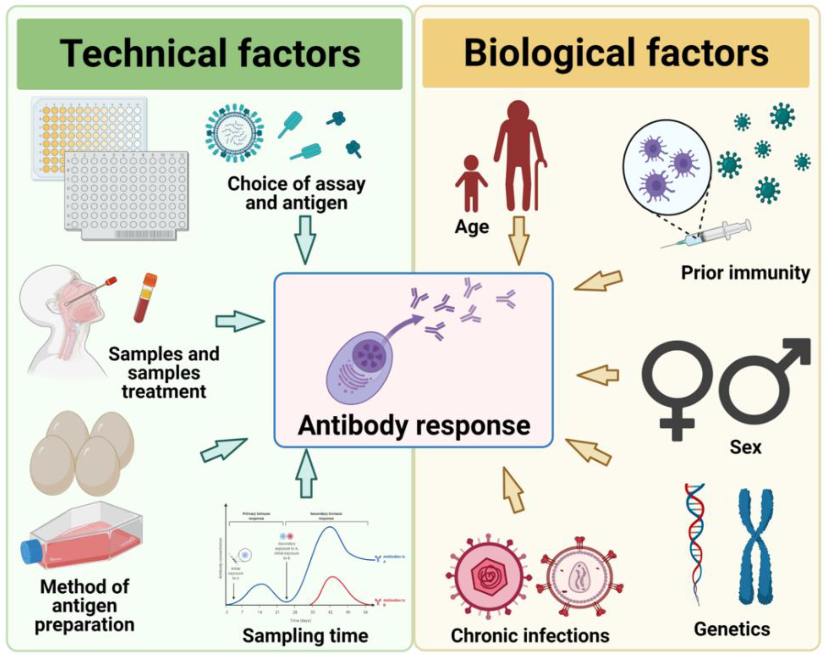 Viruses 13 01400 g001