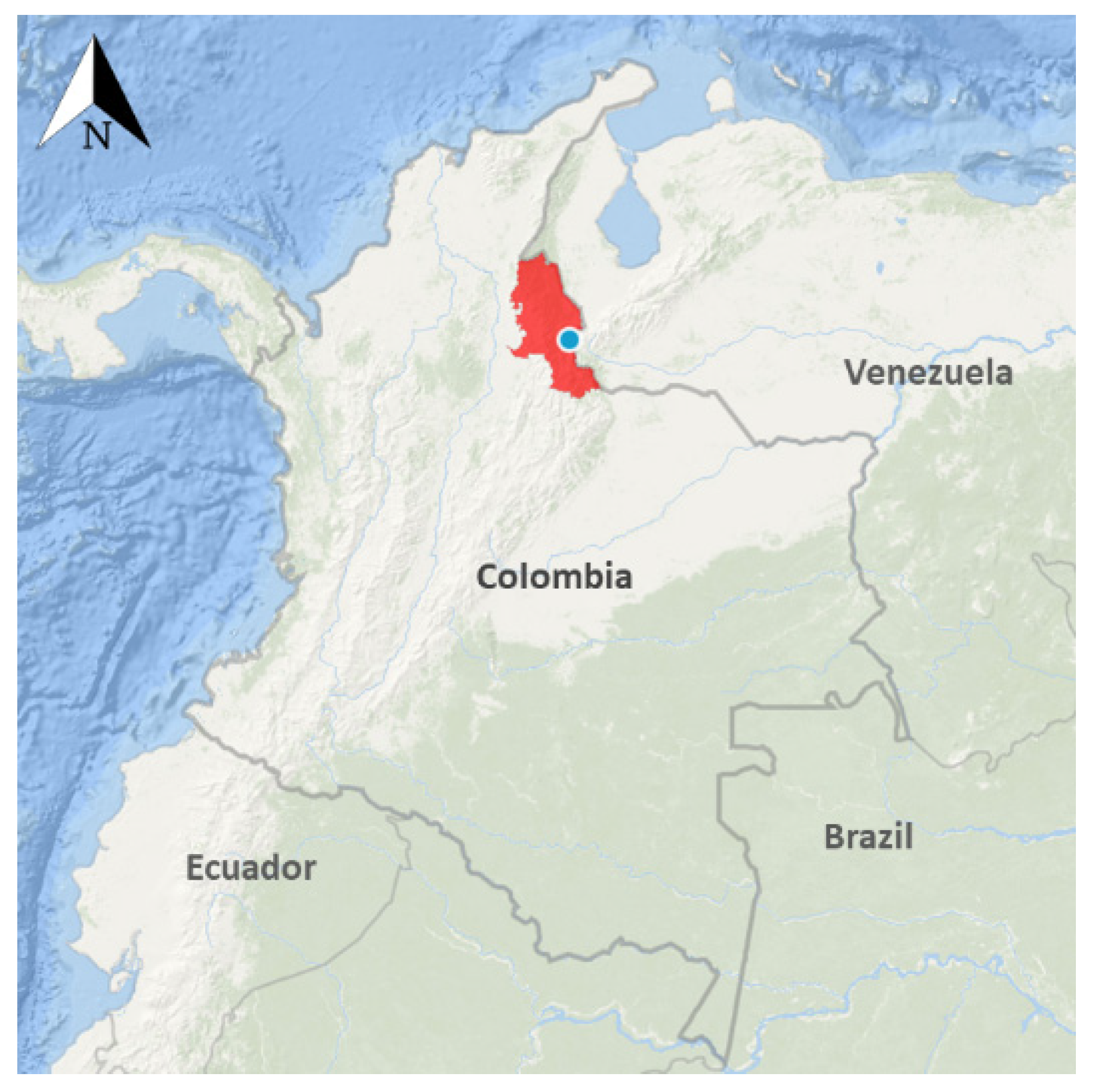 Viruses 13 01401 g001