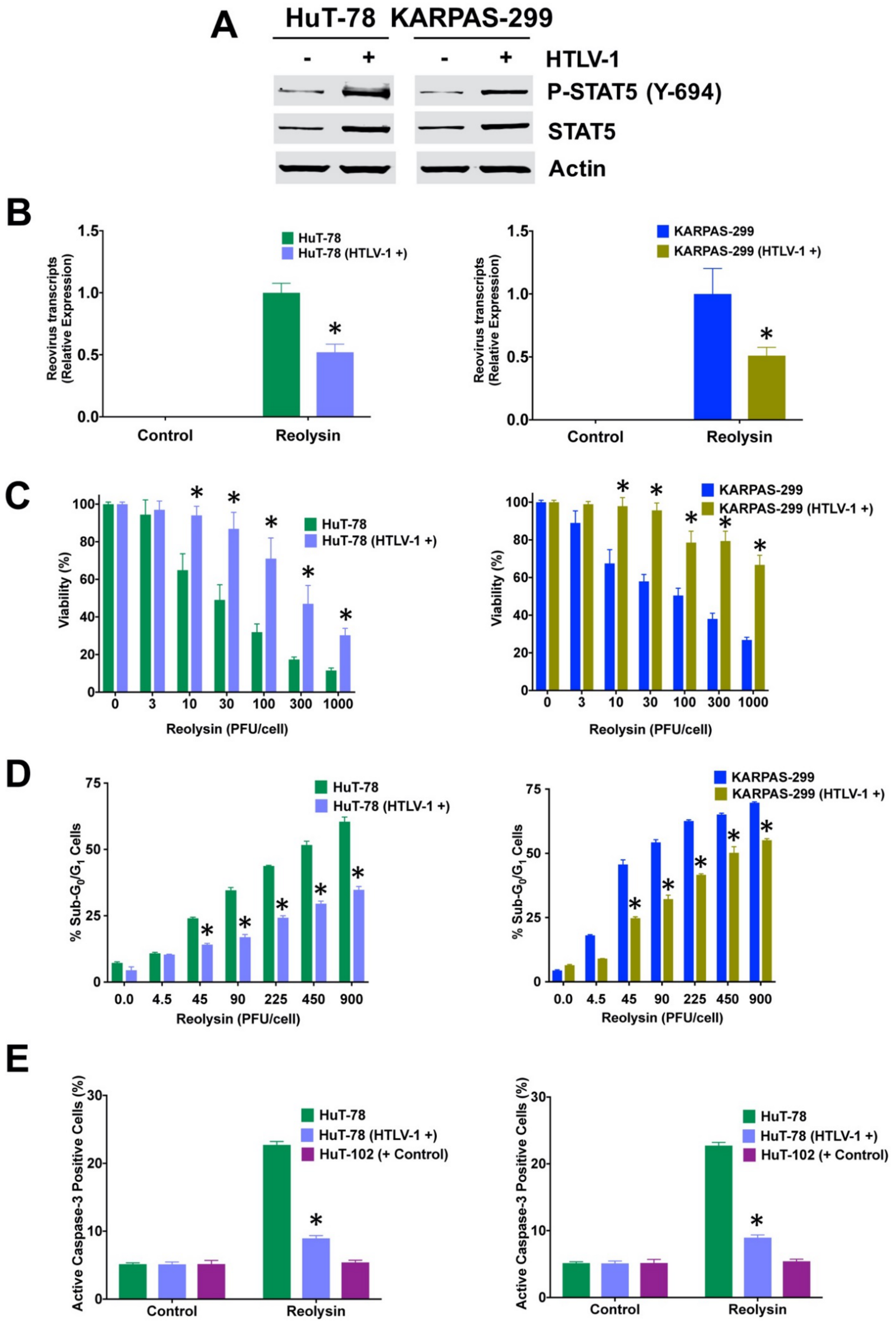 Viruses 13 01406 g005