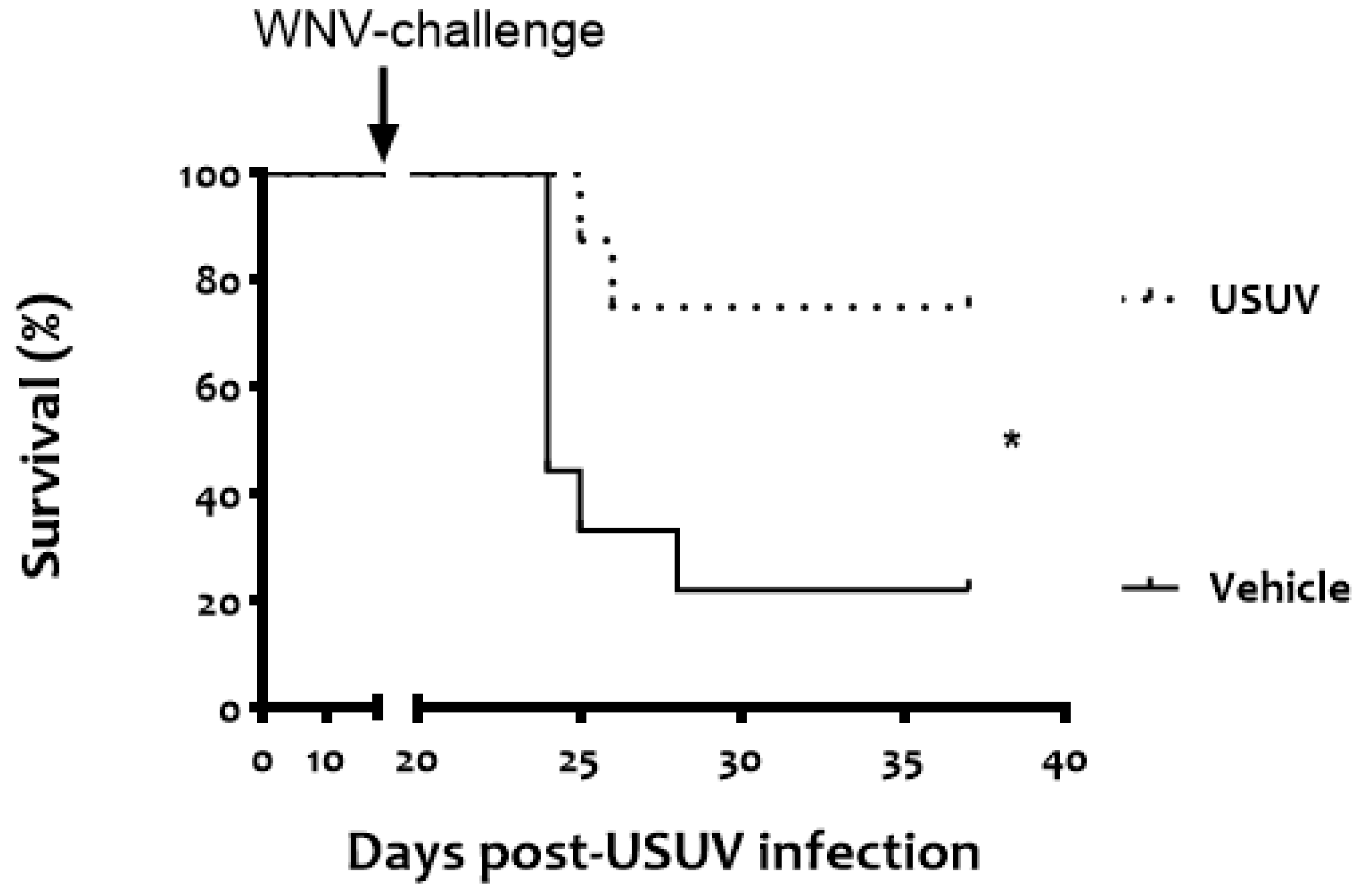 Viruses 13 01409 g002