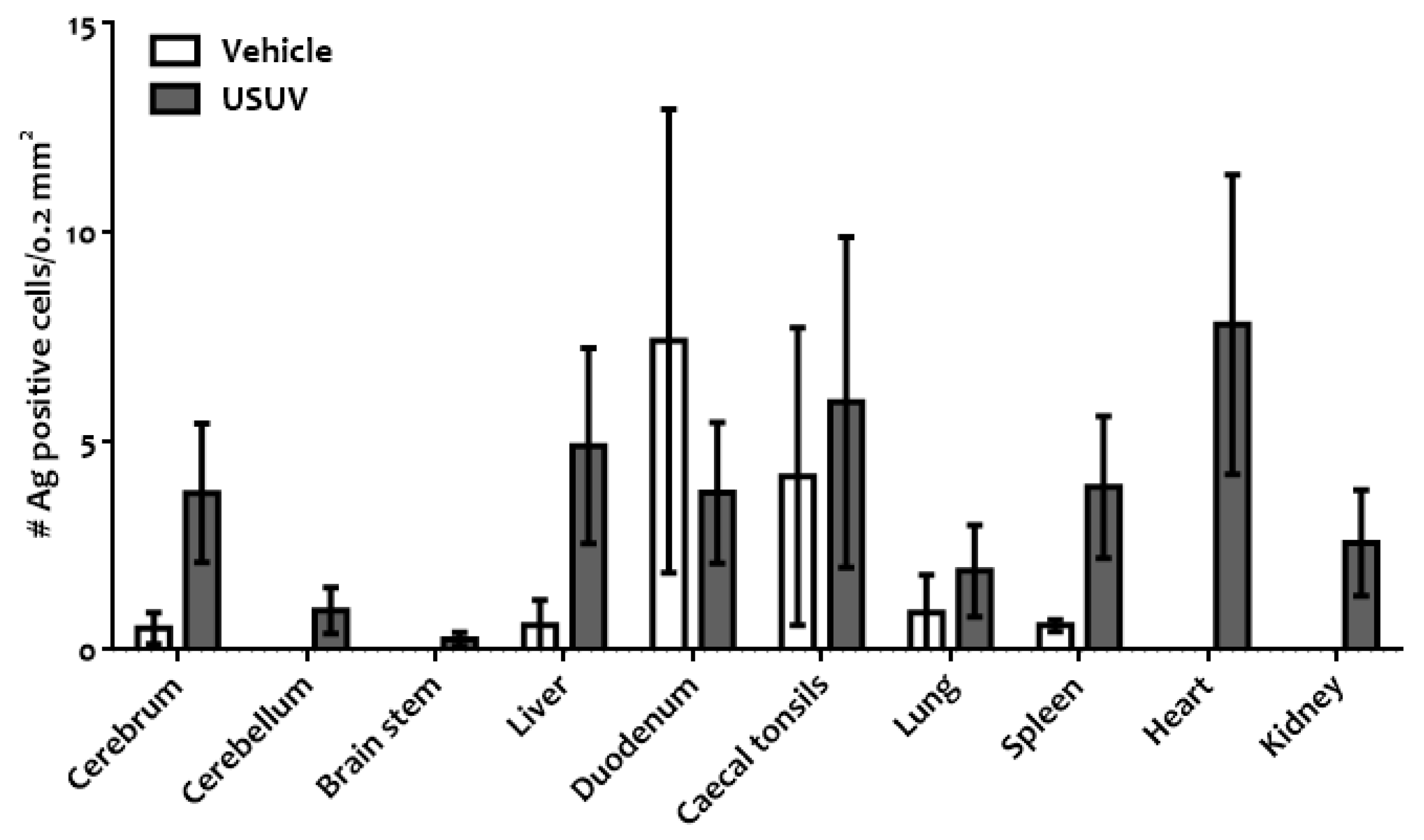 Viruses 13 01409 g007