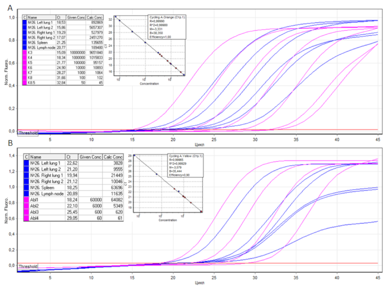 Viruses 13 01410 g002