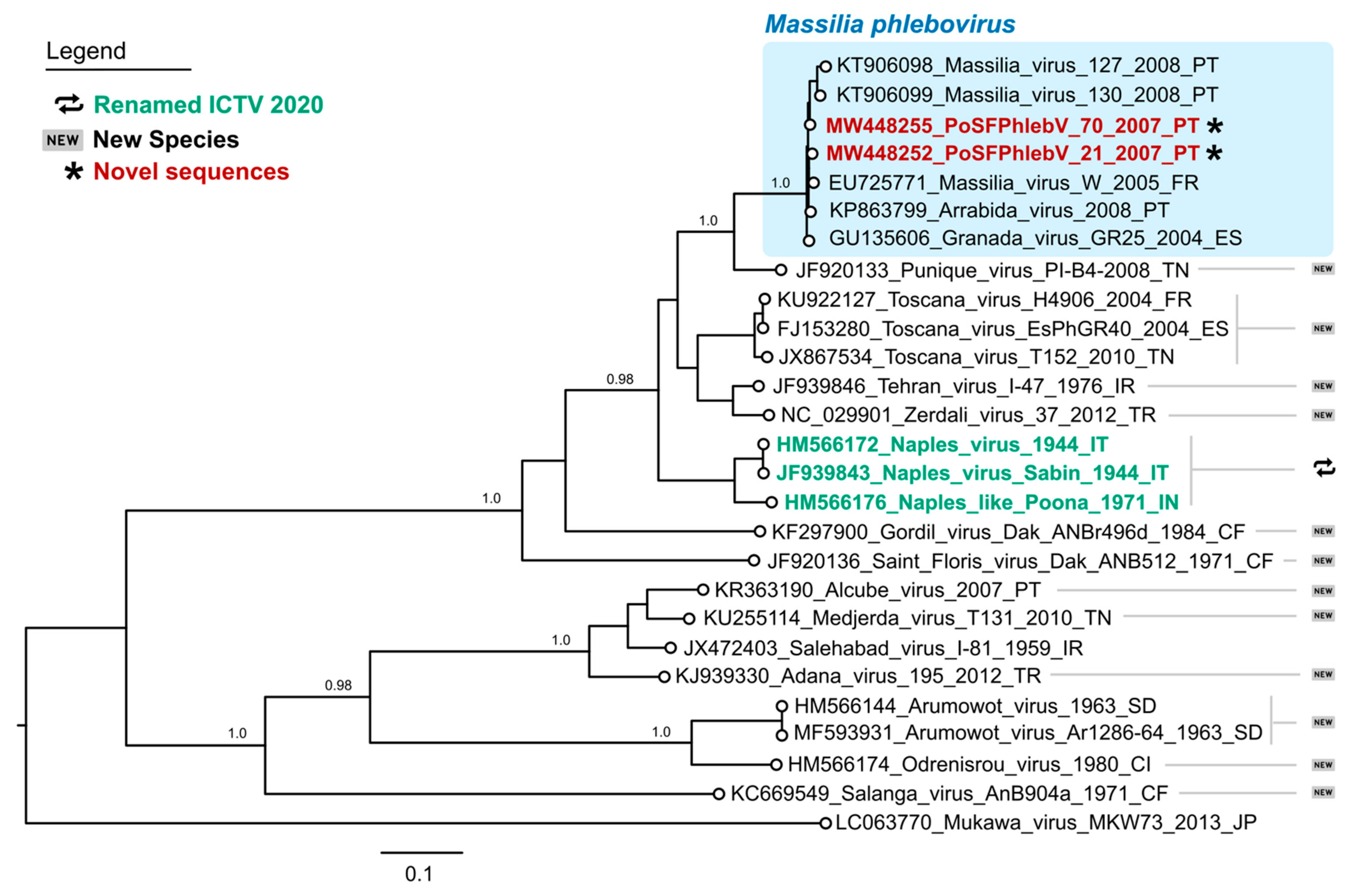 Viruses 13 01412 g001 Viruses 13 01412 g001