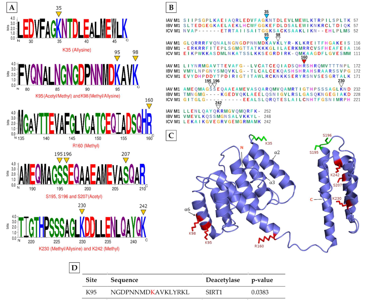 Viruses 13 01415 g001
