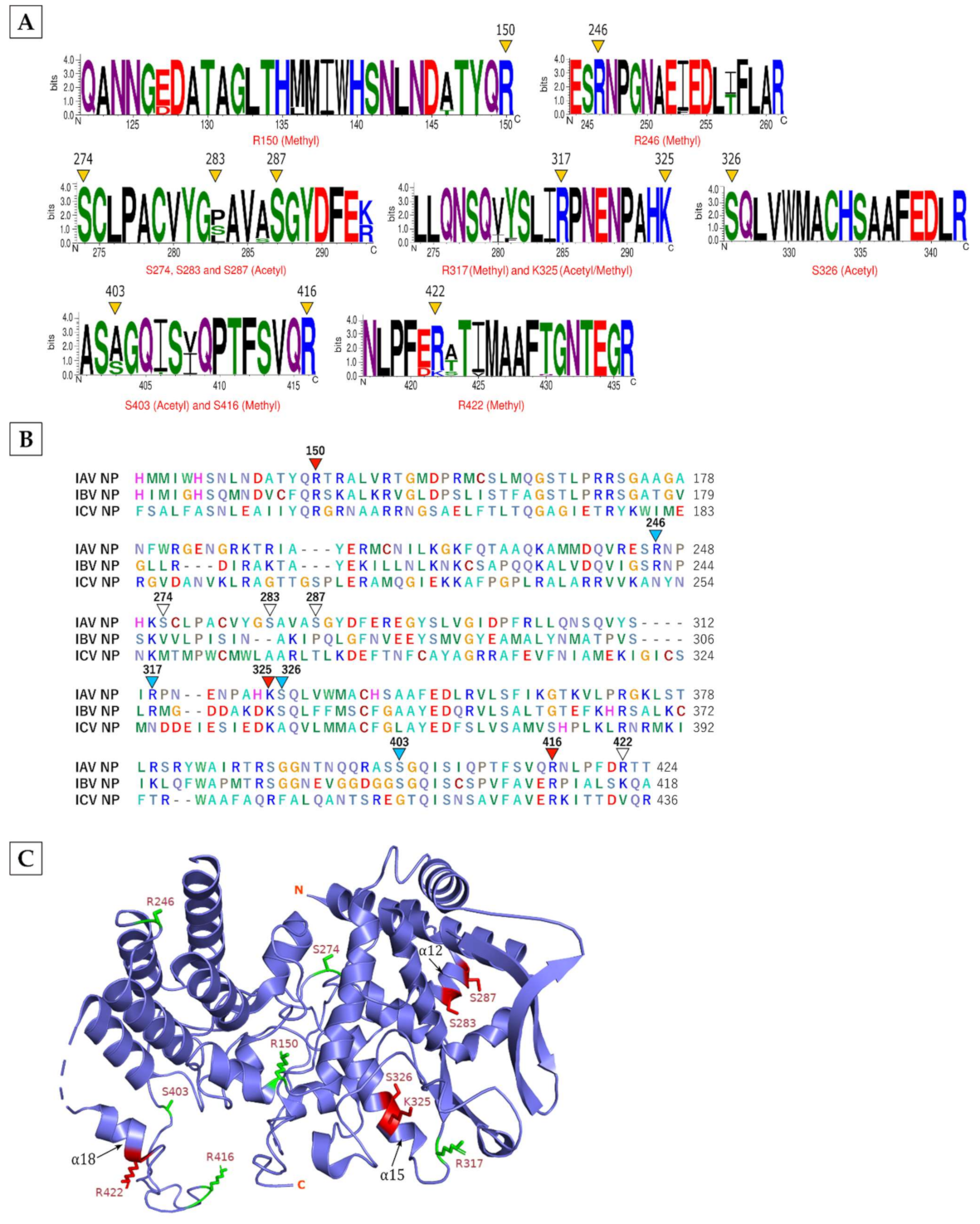 Viruses 13 01415 g002