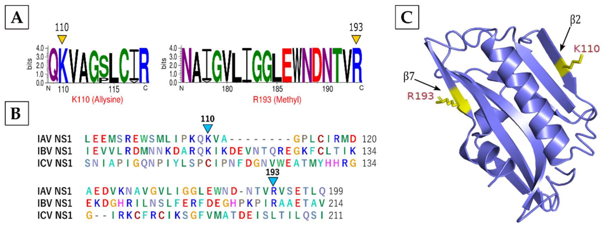 Viruses 13 01415 g004