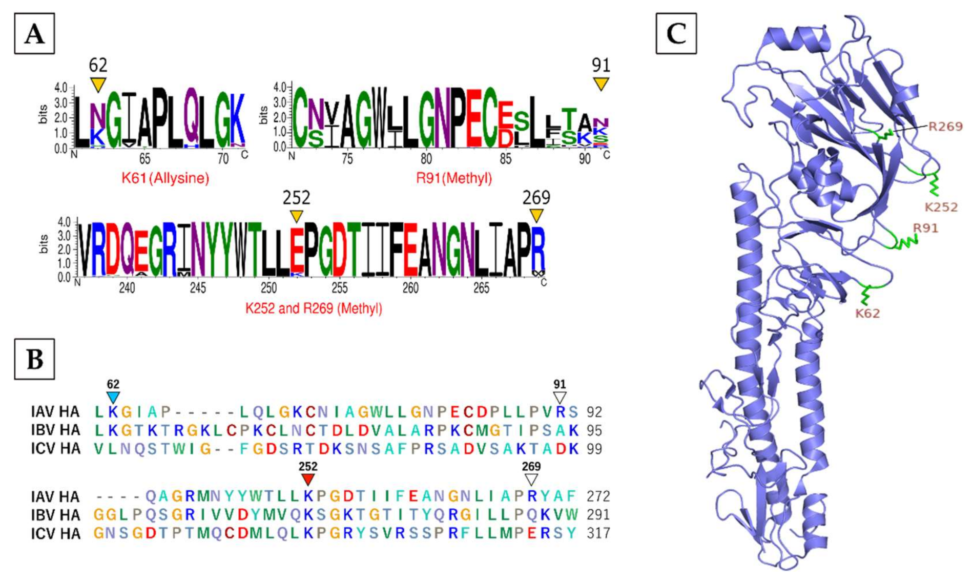 Viruses 13 01415 g005