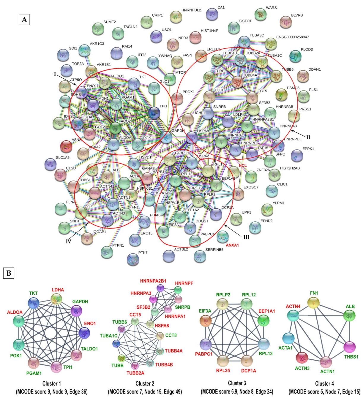 Viruses 13 01415 g006