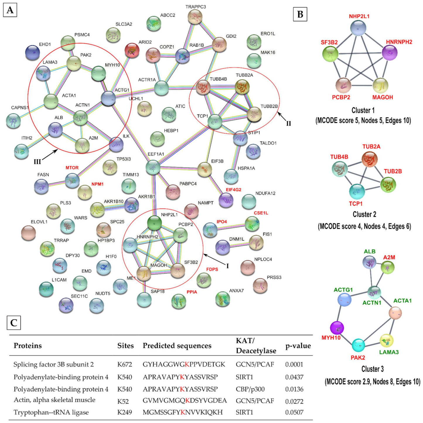 Viruses 13 01415 g007