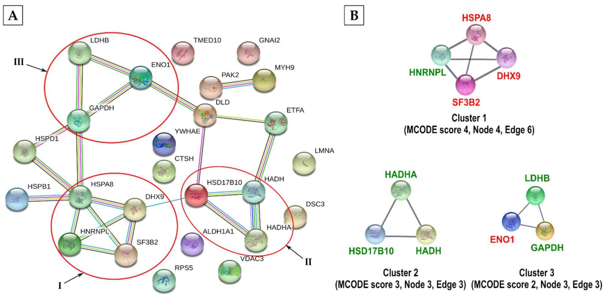 Viruses 13 01415 g008