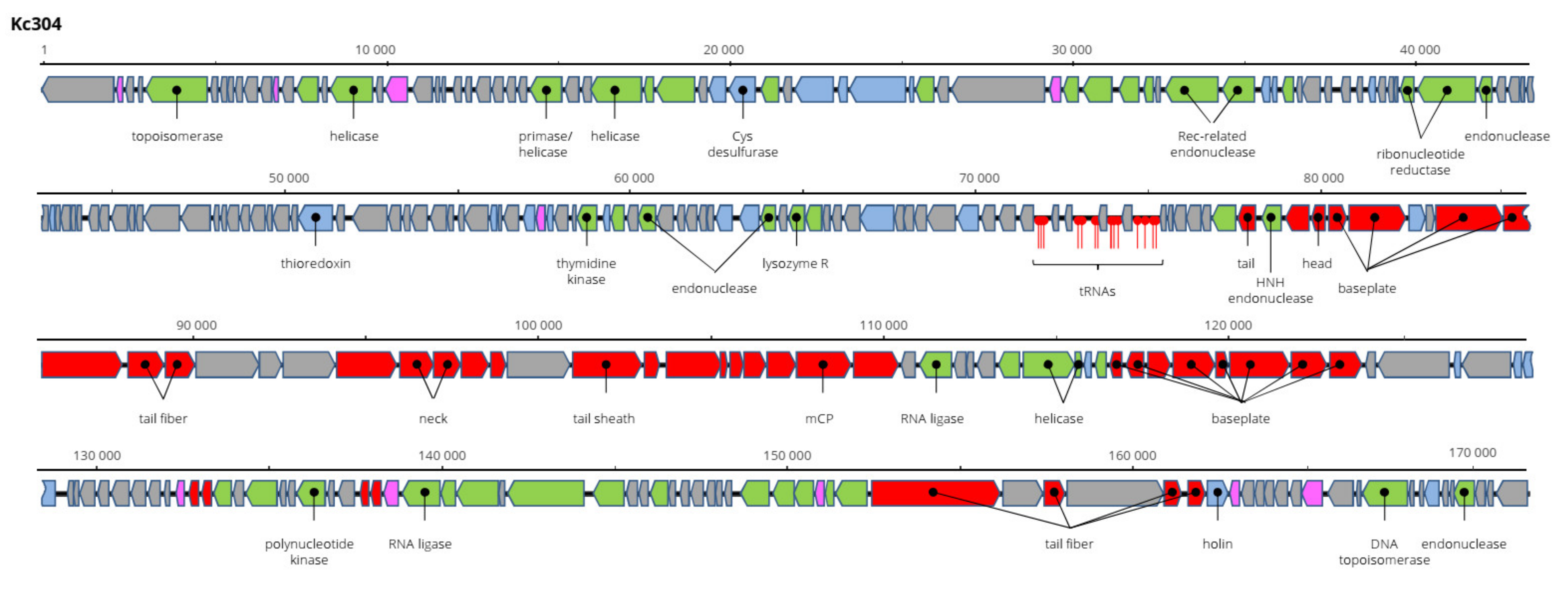 Viruses 13 01418 g008