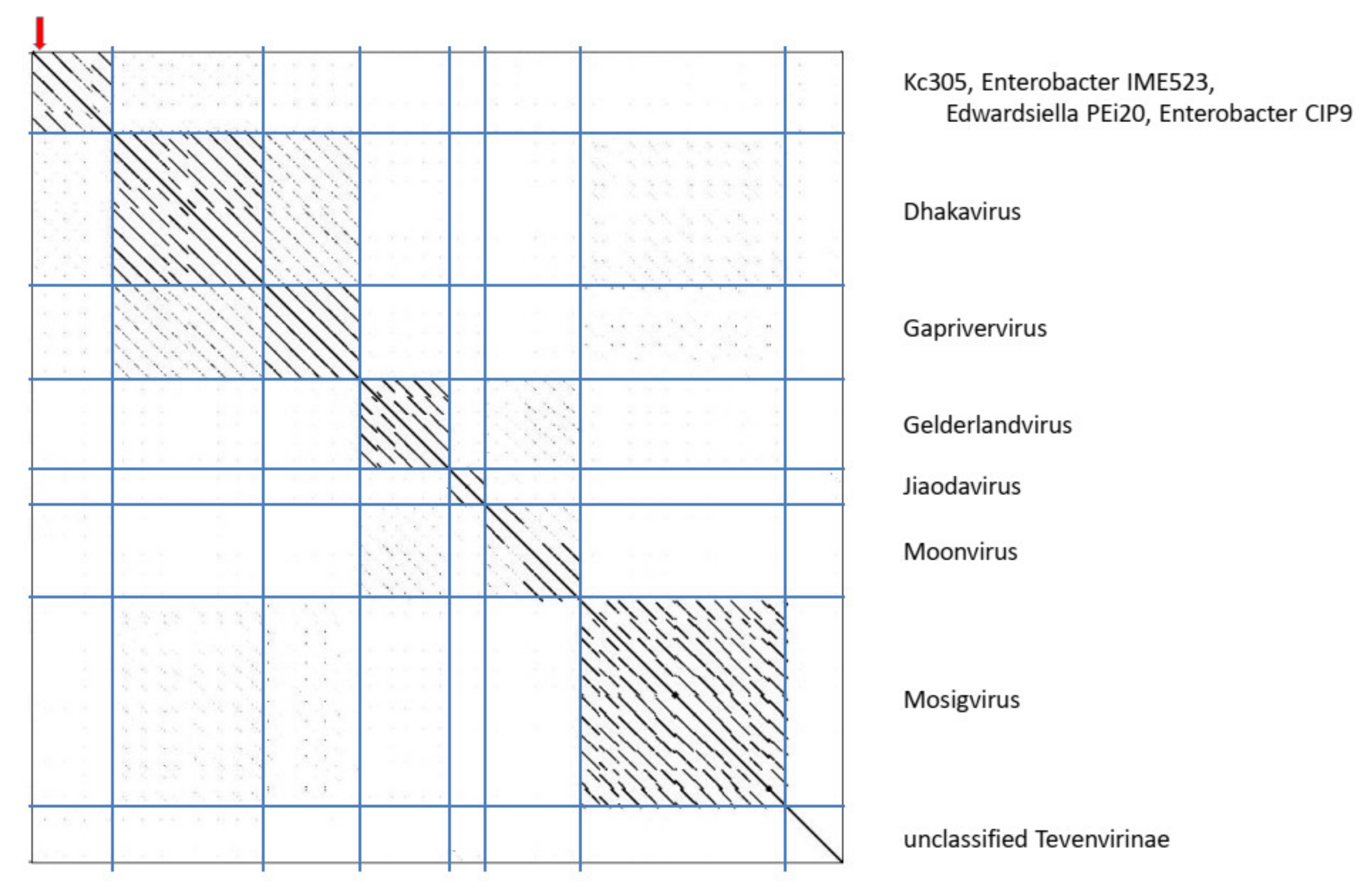 Viruses 13 01418 g010