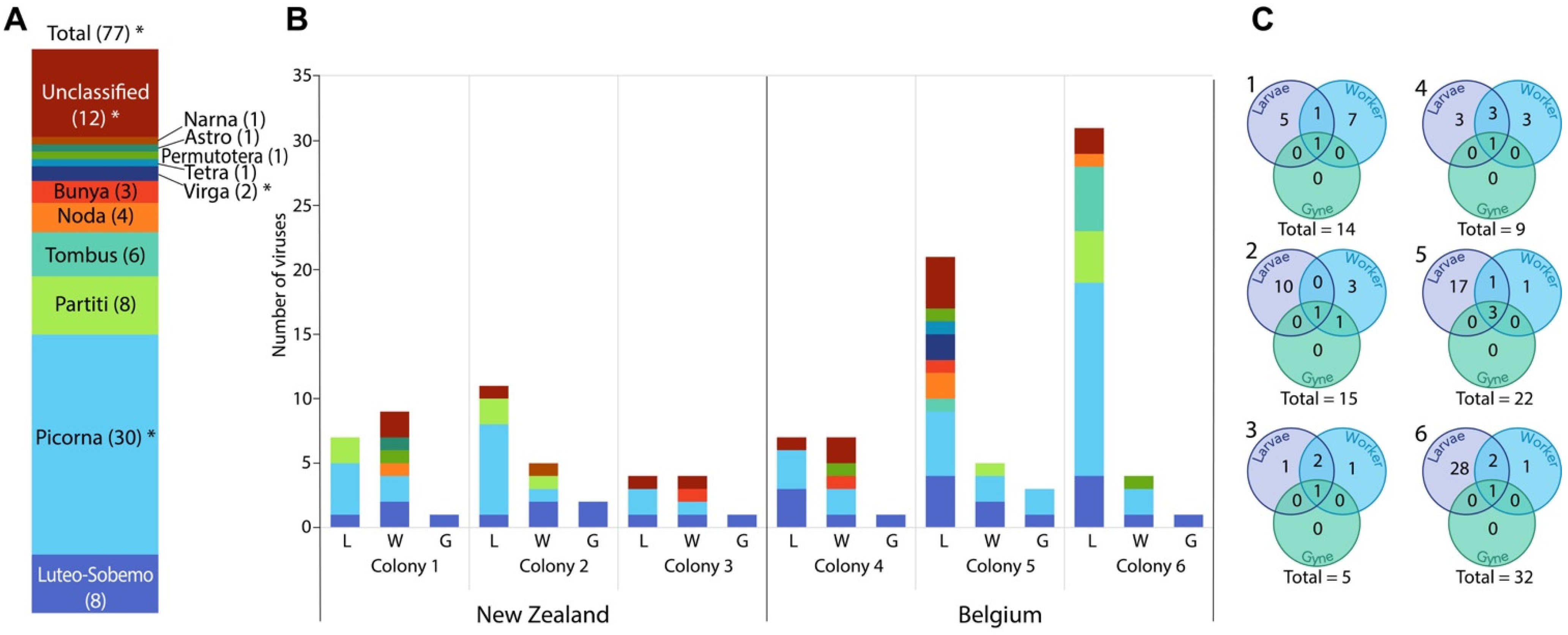 Viruses 13 01431 g001