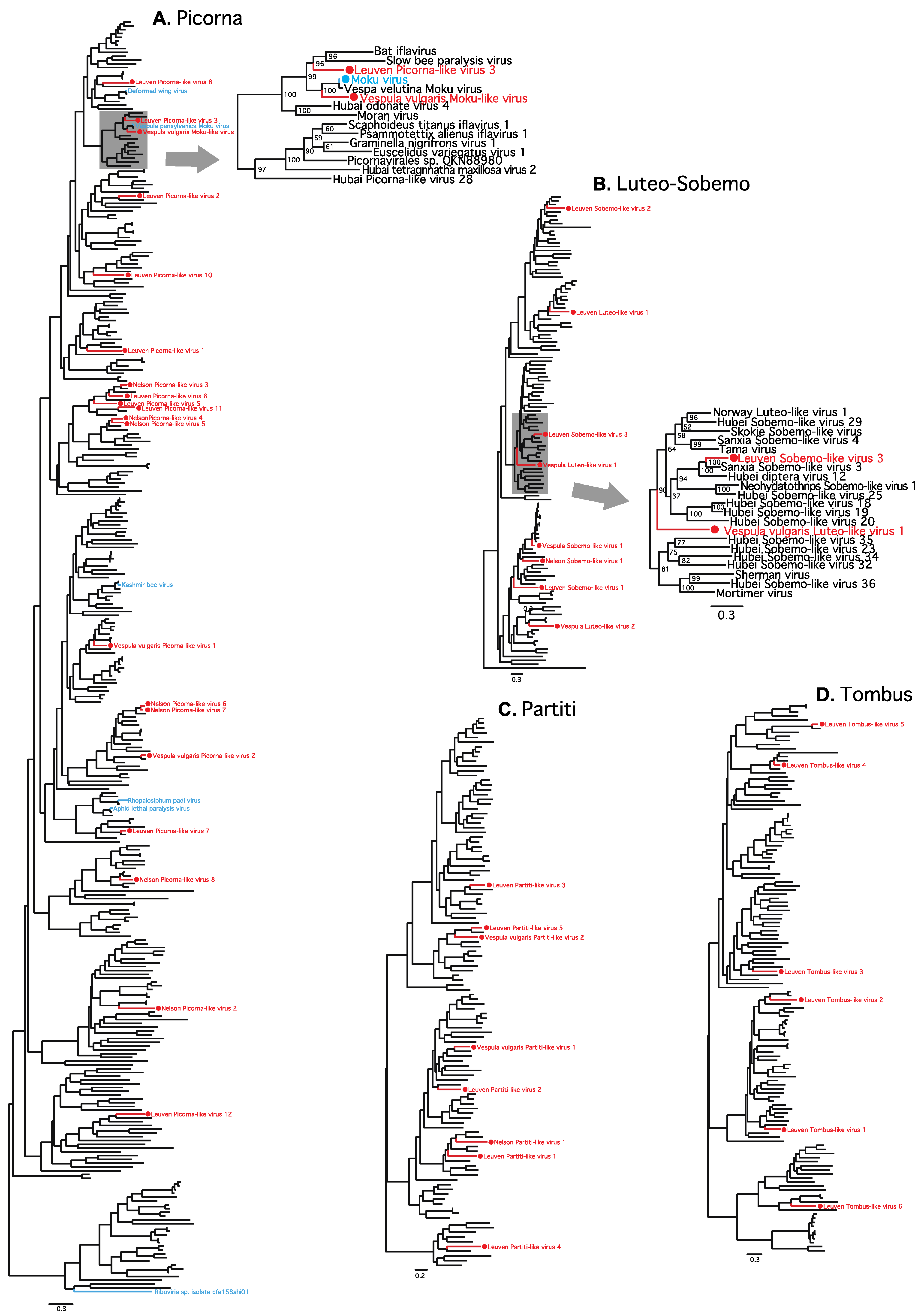 Viruses 13 01431 g002