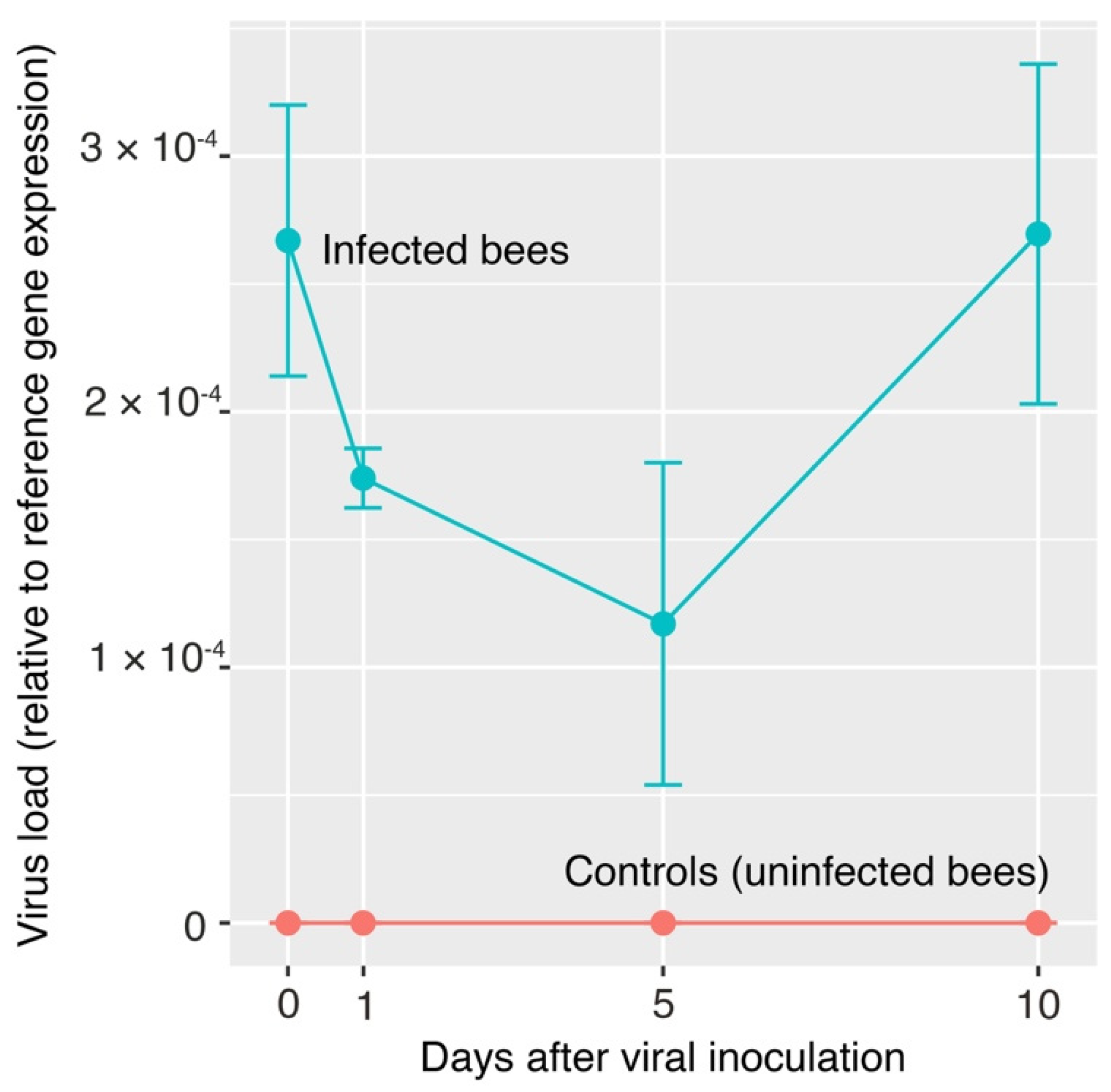 Viruses 13 01431 g005