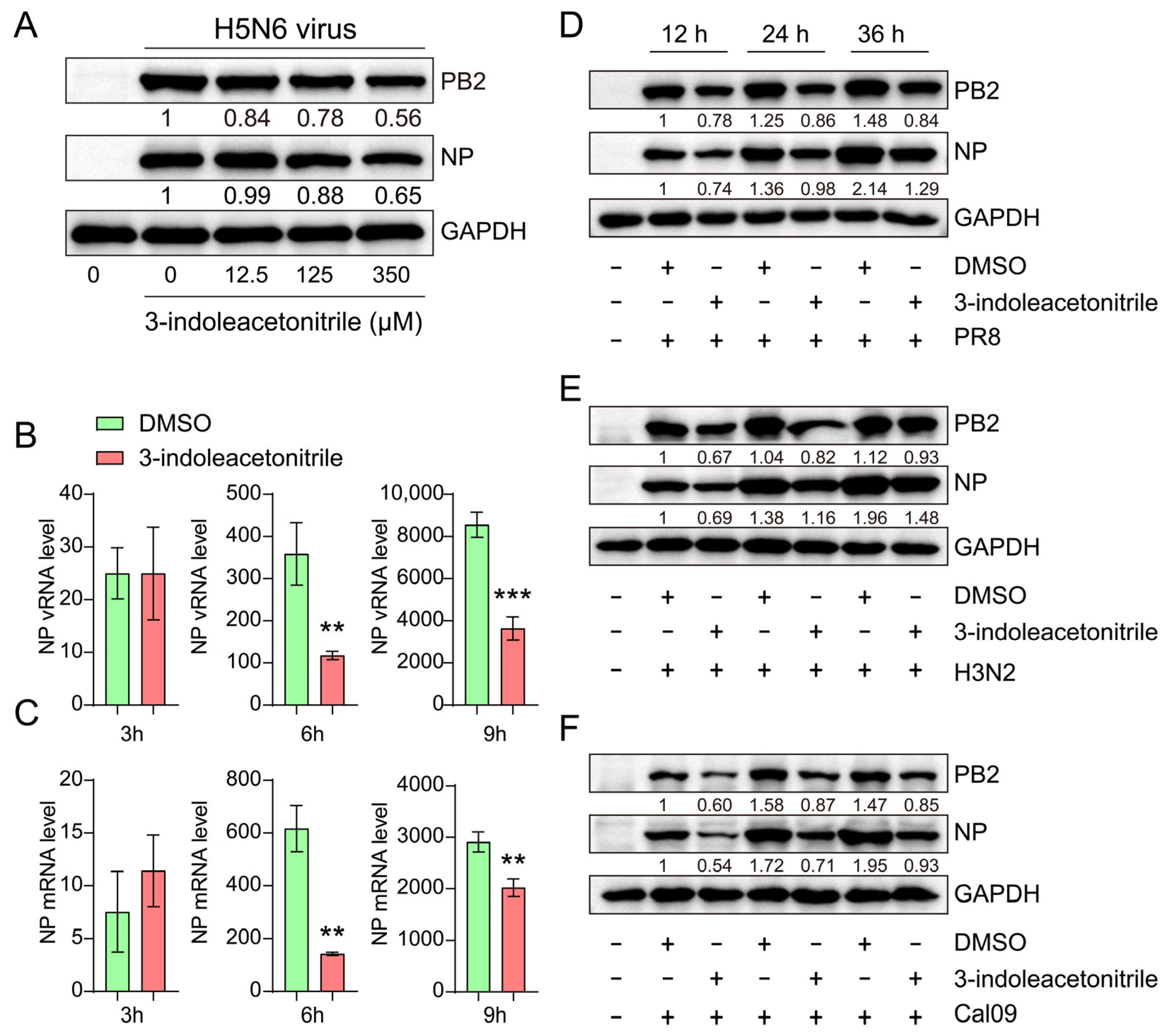 Viruses 13 01433 g004