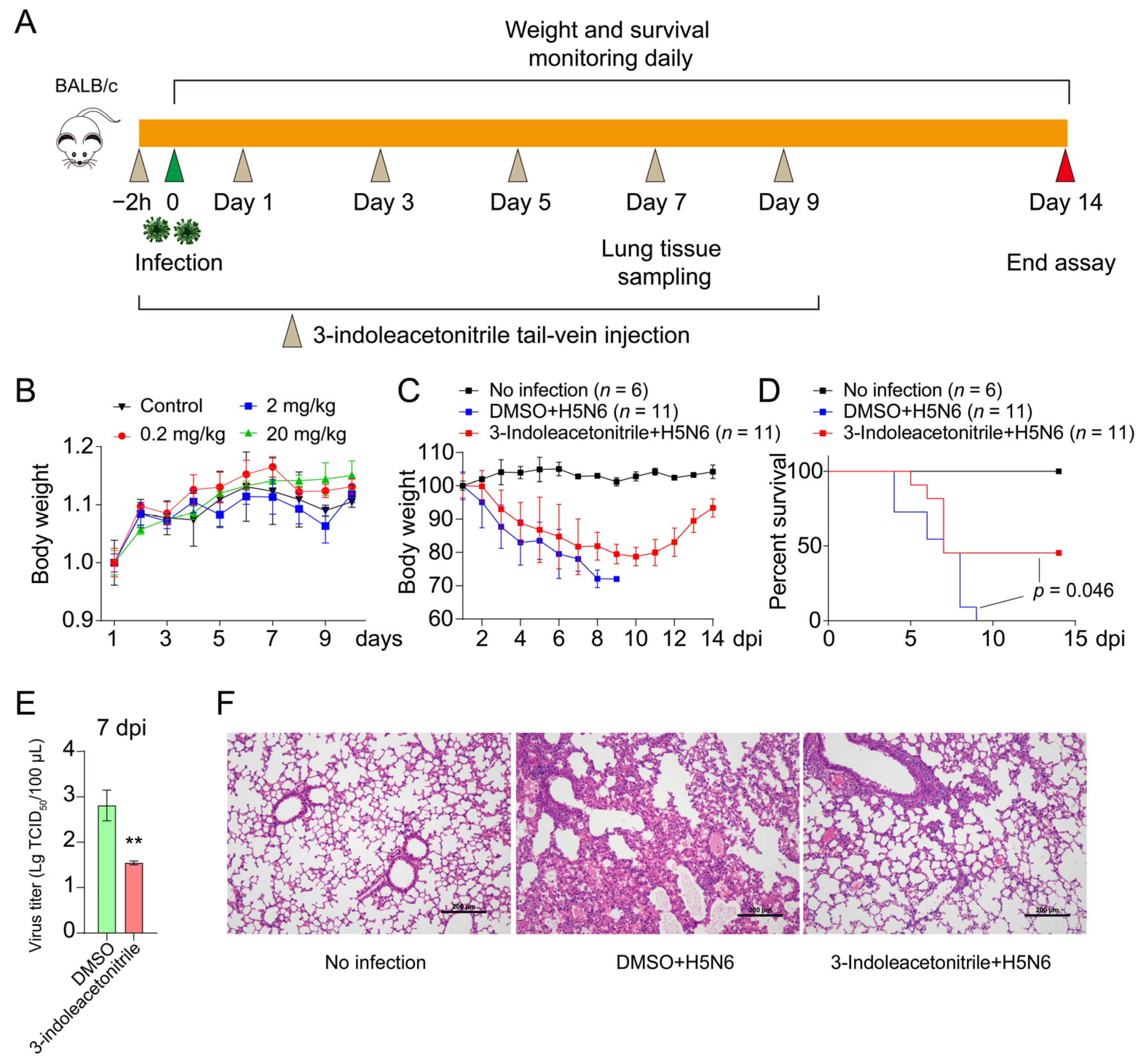 Viruses 13 01433 g005