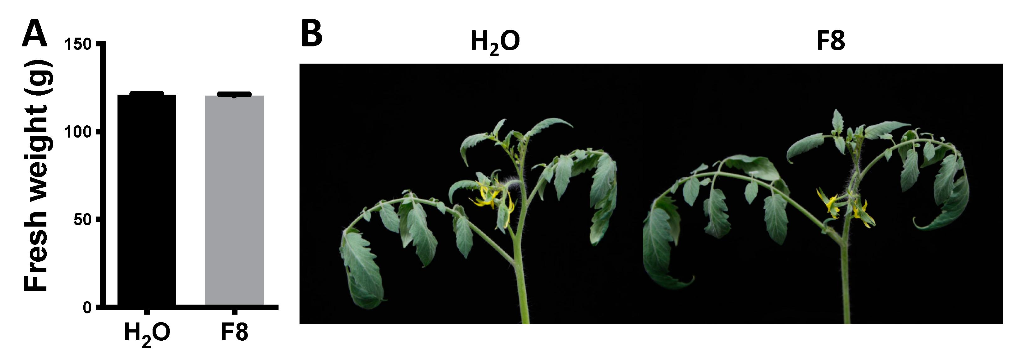 Viruses 13 01434 g003 Viruses 13 01434 g003