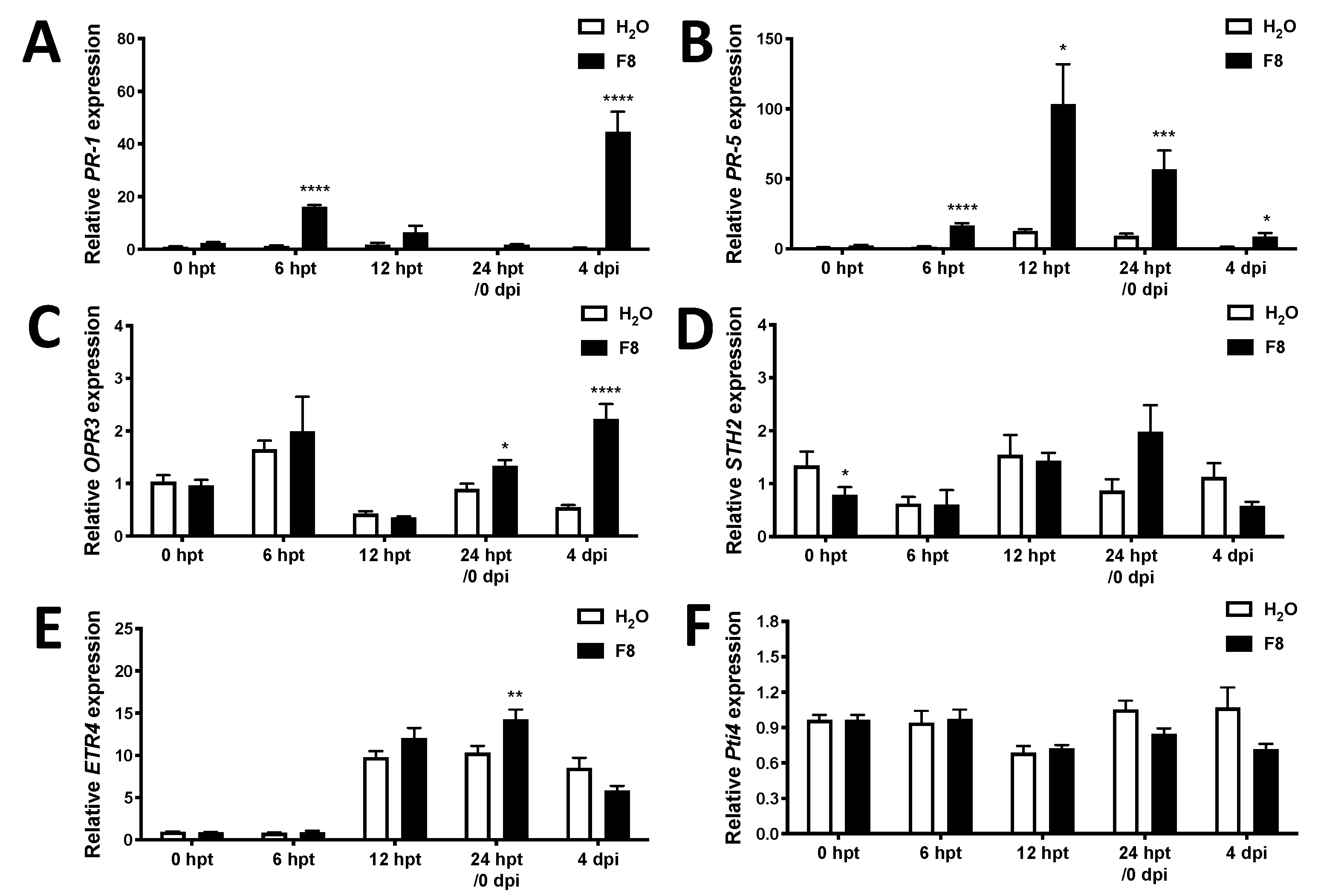 Viruses 13 01434 g004 Viruses 13 01434 g004