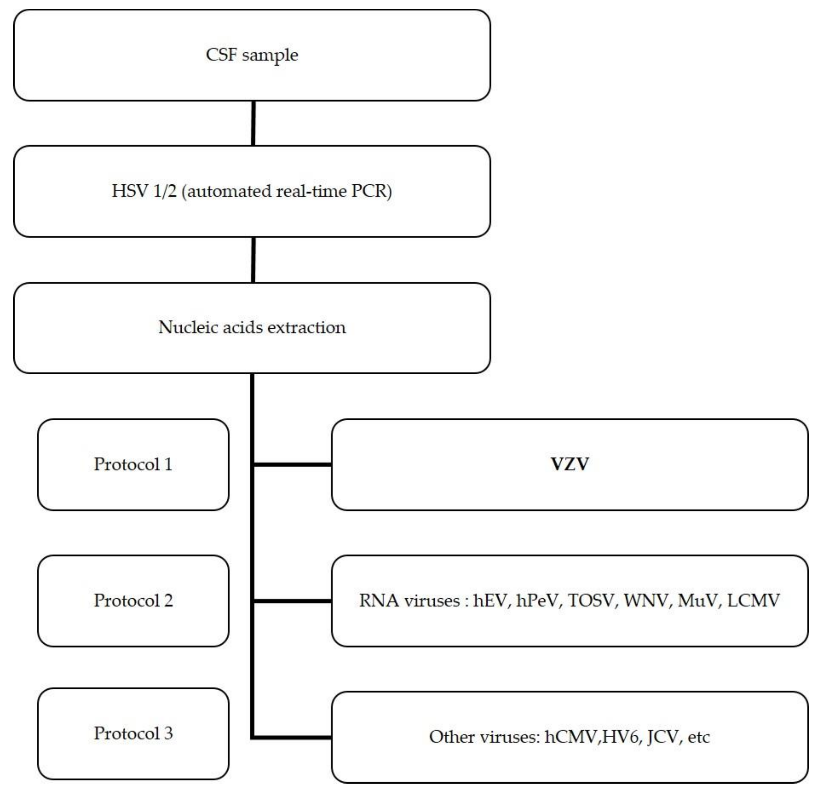 Viruses 13 01438 g001