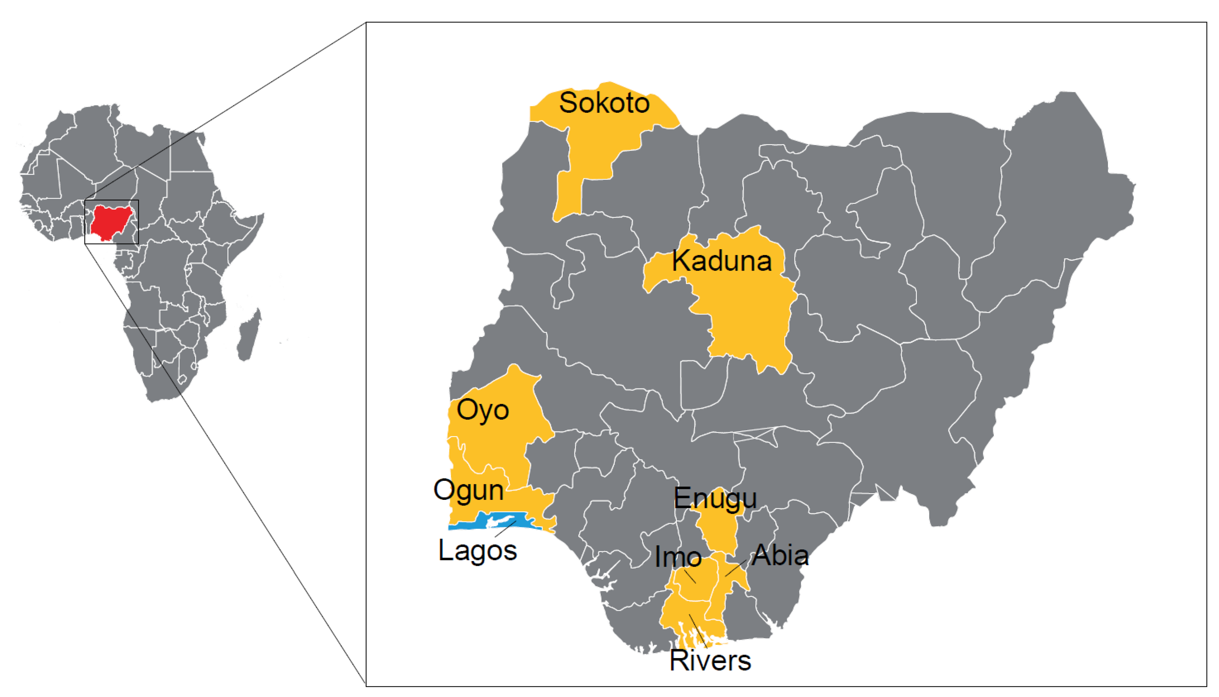 Viruses 13 01445 g001