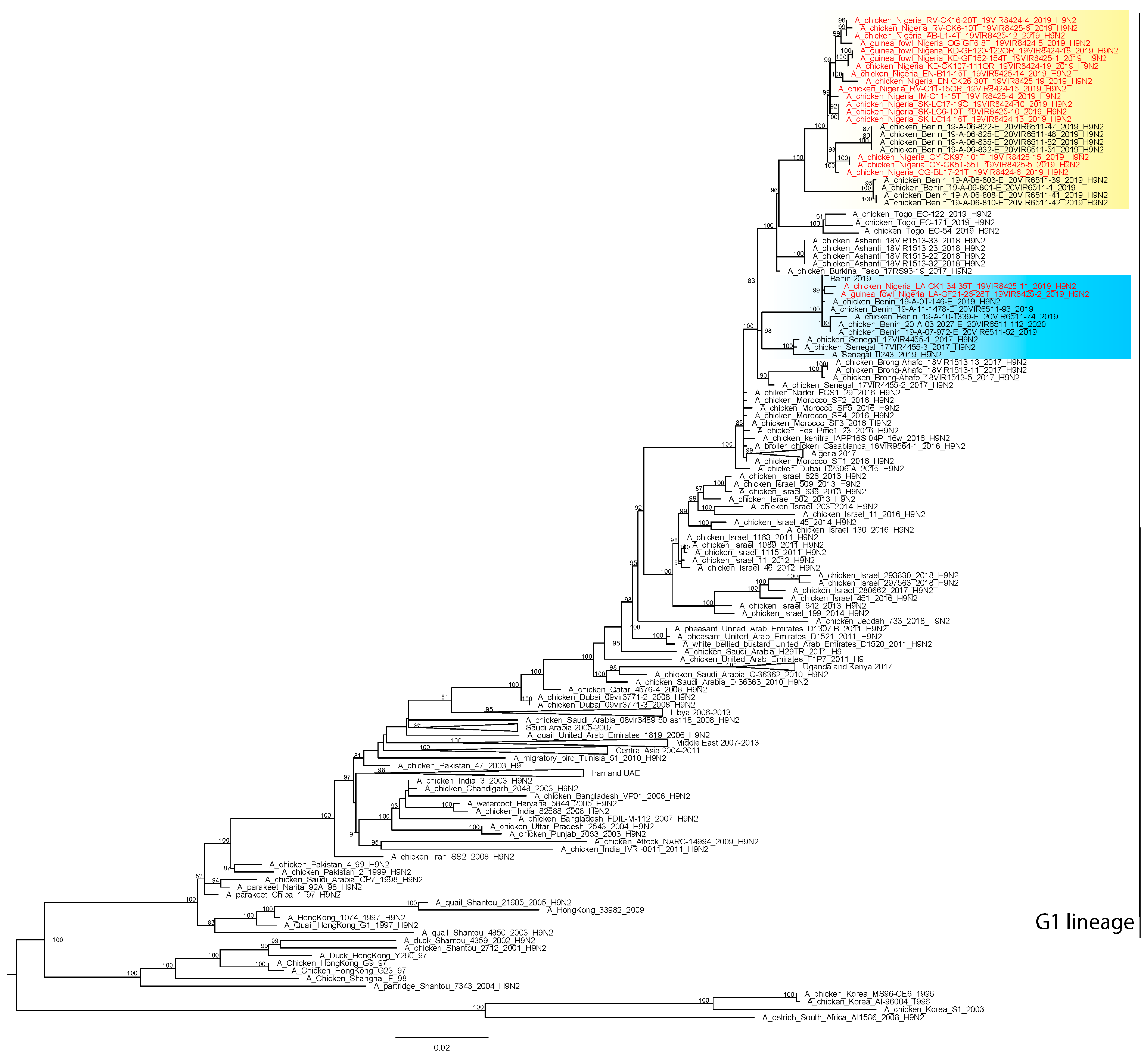 Viruses 13 01445 g002