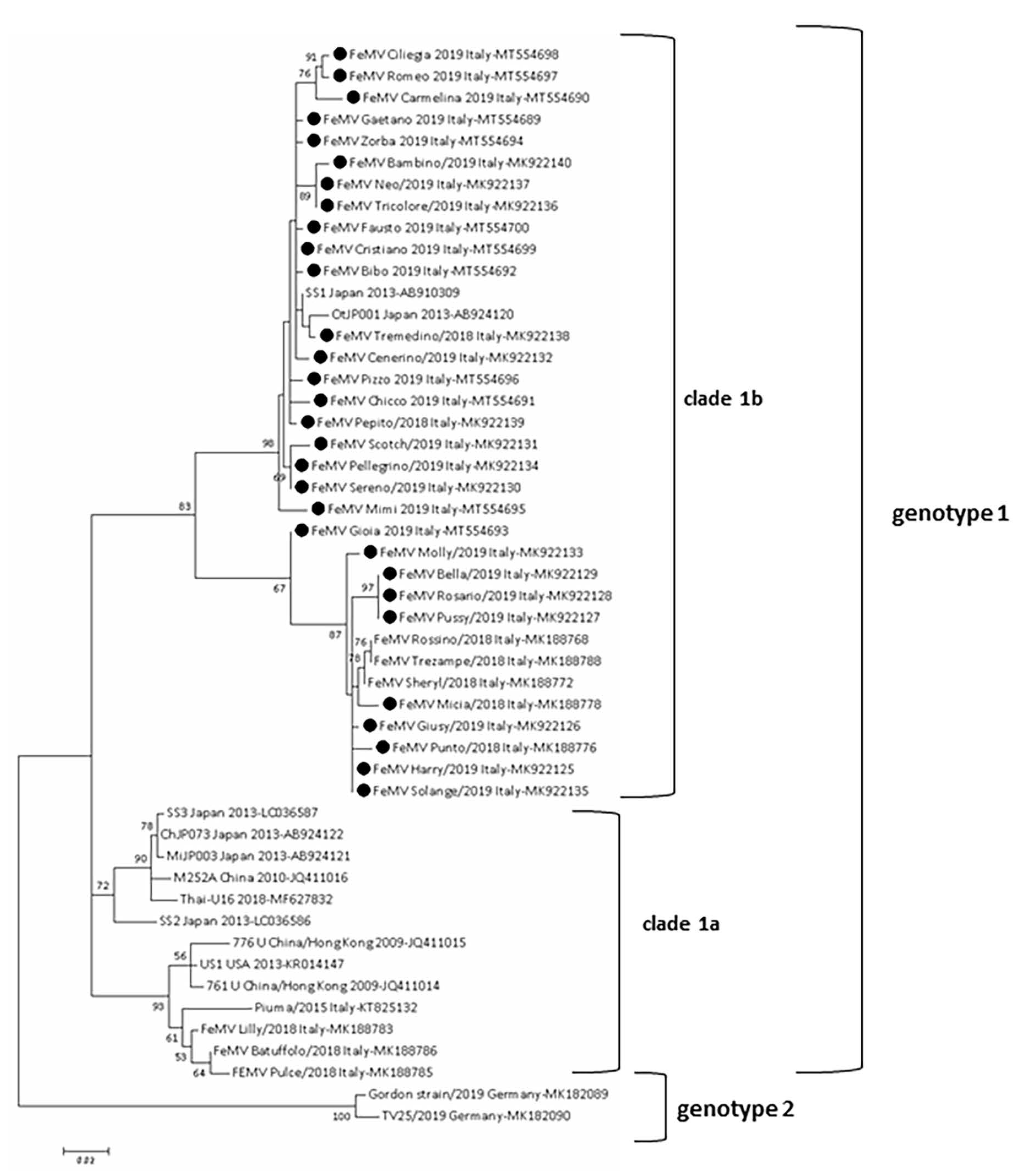 Viruses 13 01449 g002
