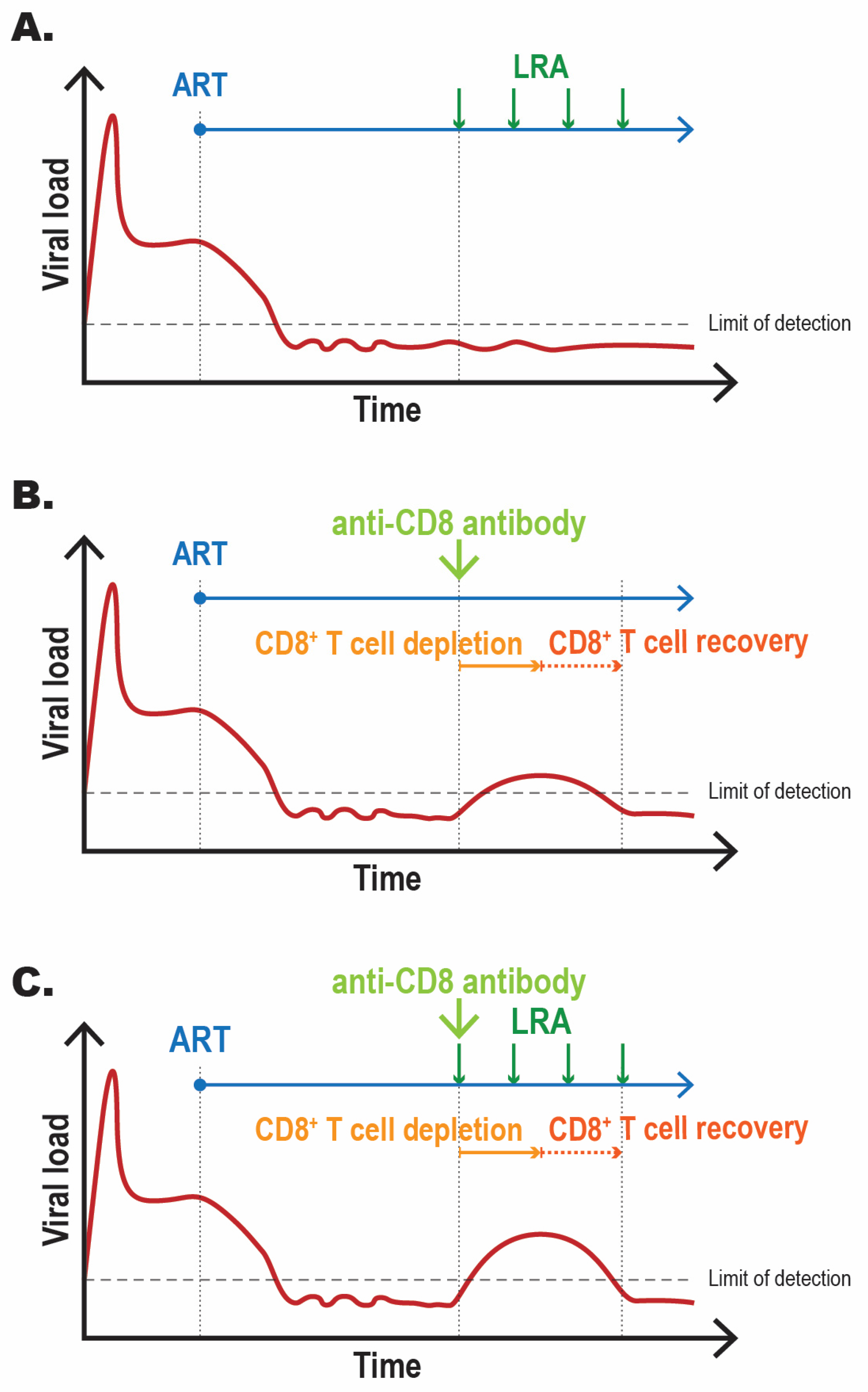 Viruses 13 01451 g002