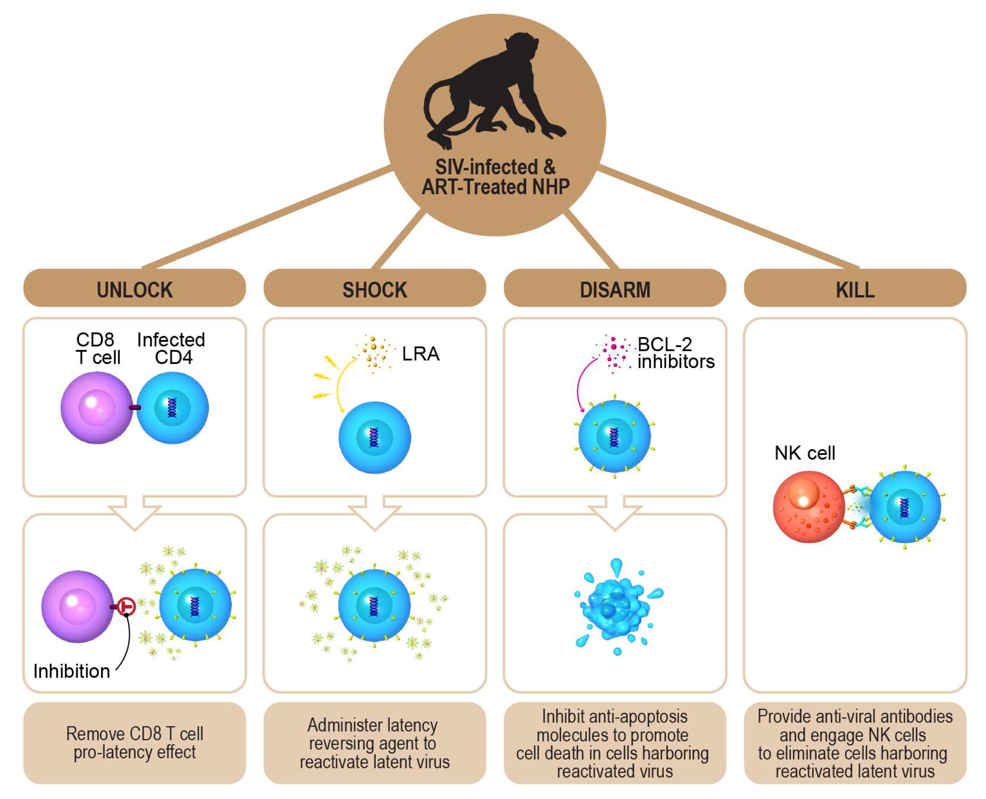 Viruses 13 01451 g003