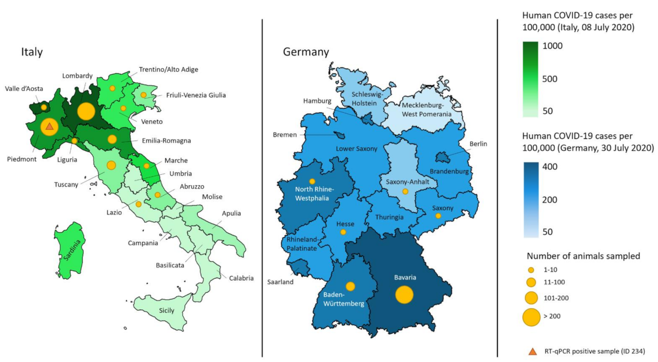 Viruses 13 01453 g003