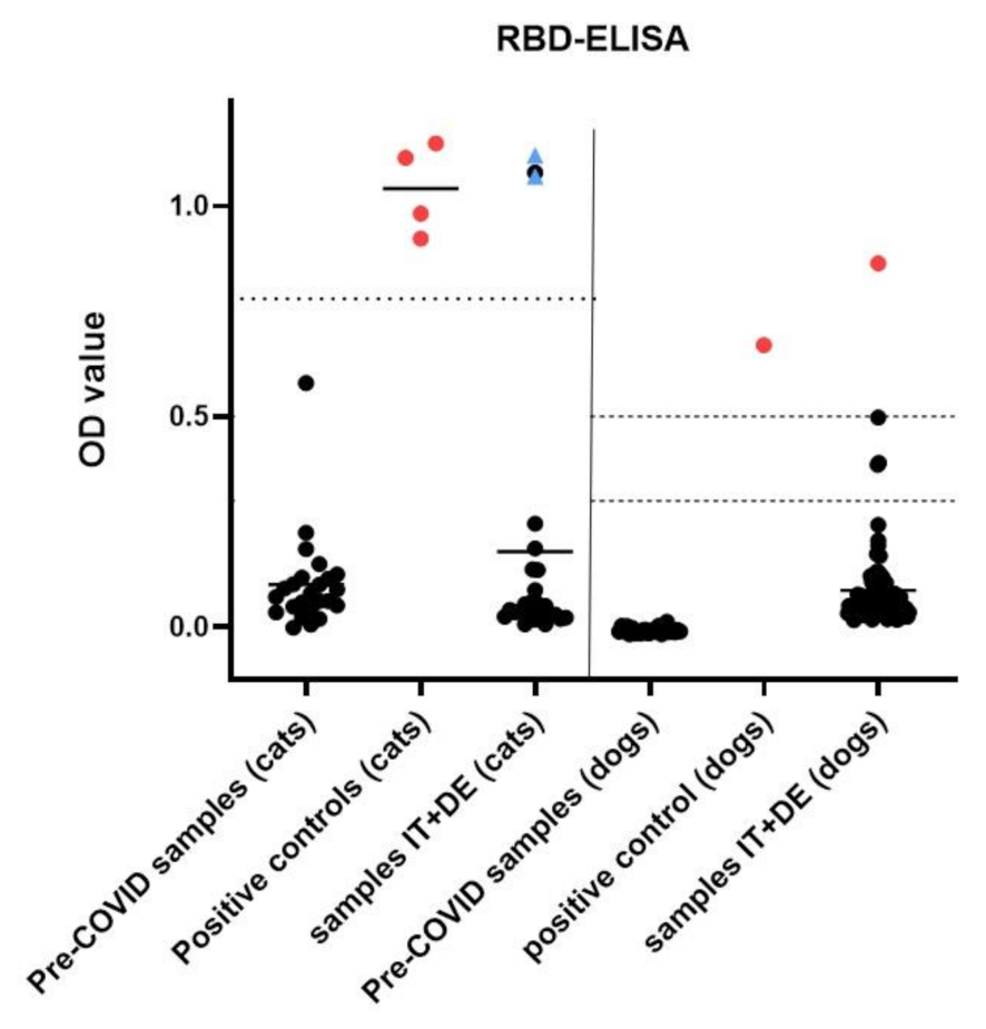 Viruses 13 01453 g004