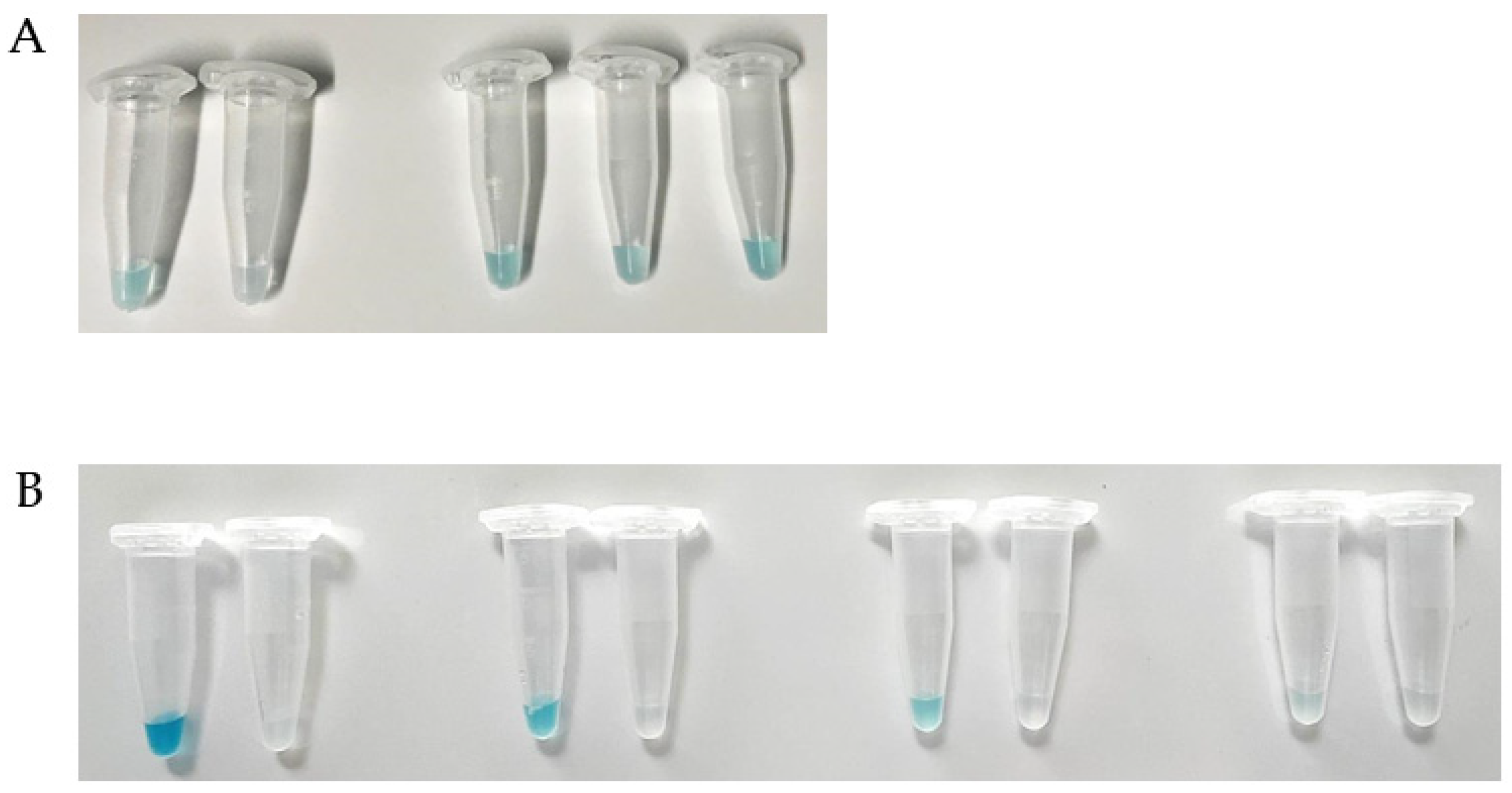 Viruses 13 01462 g004