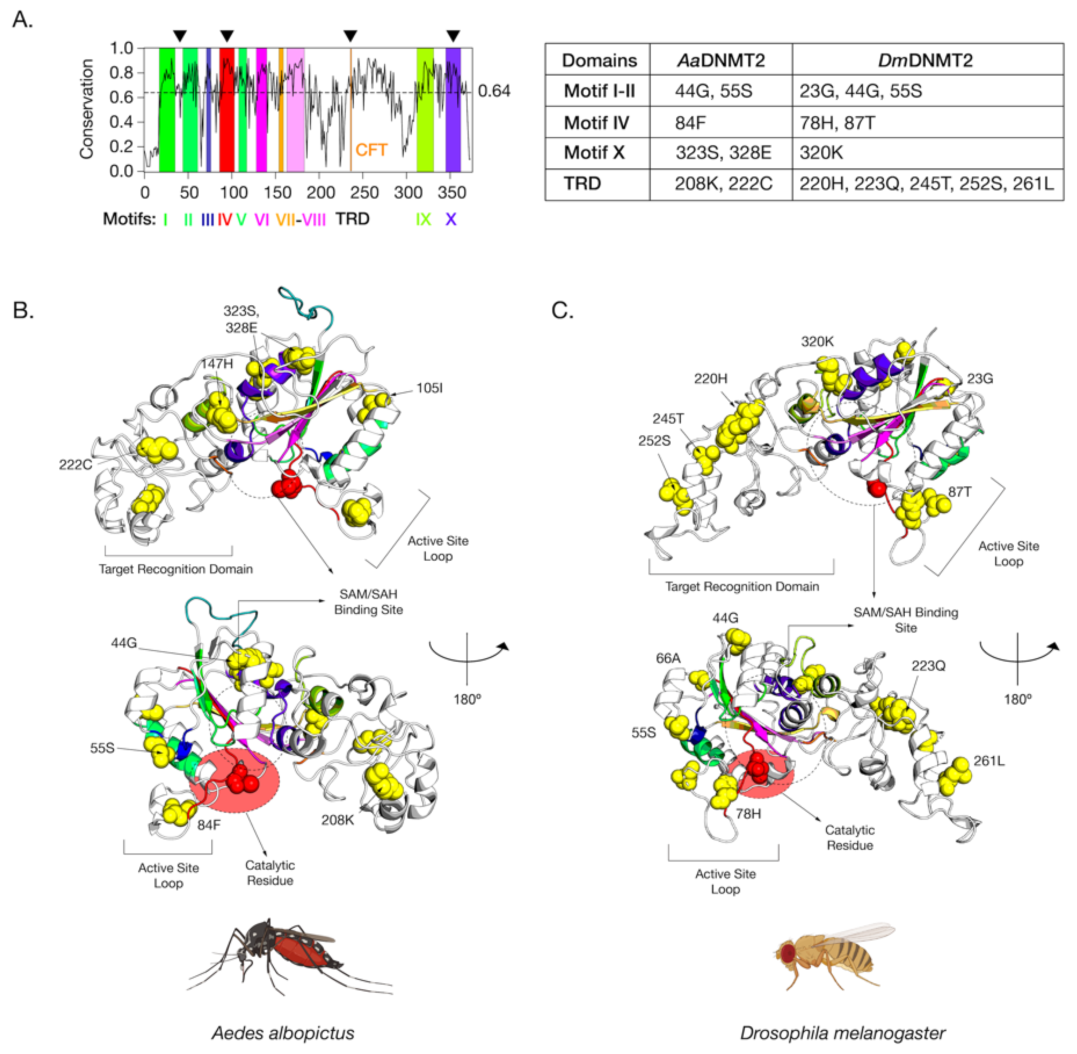 Viruses 13 01464 g004