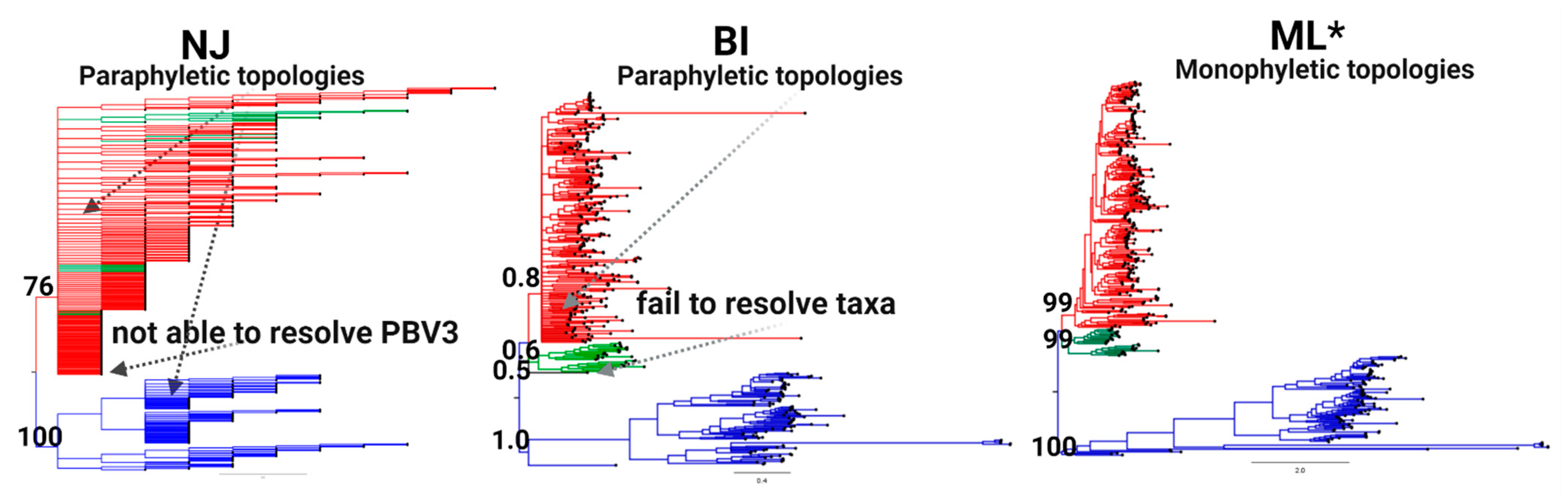 Viruses 13 01476 g003