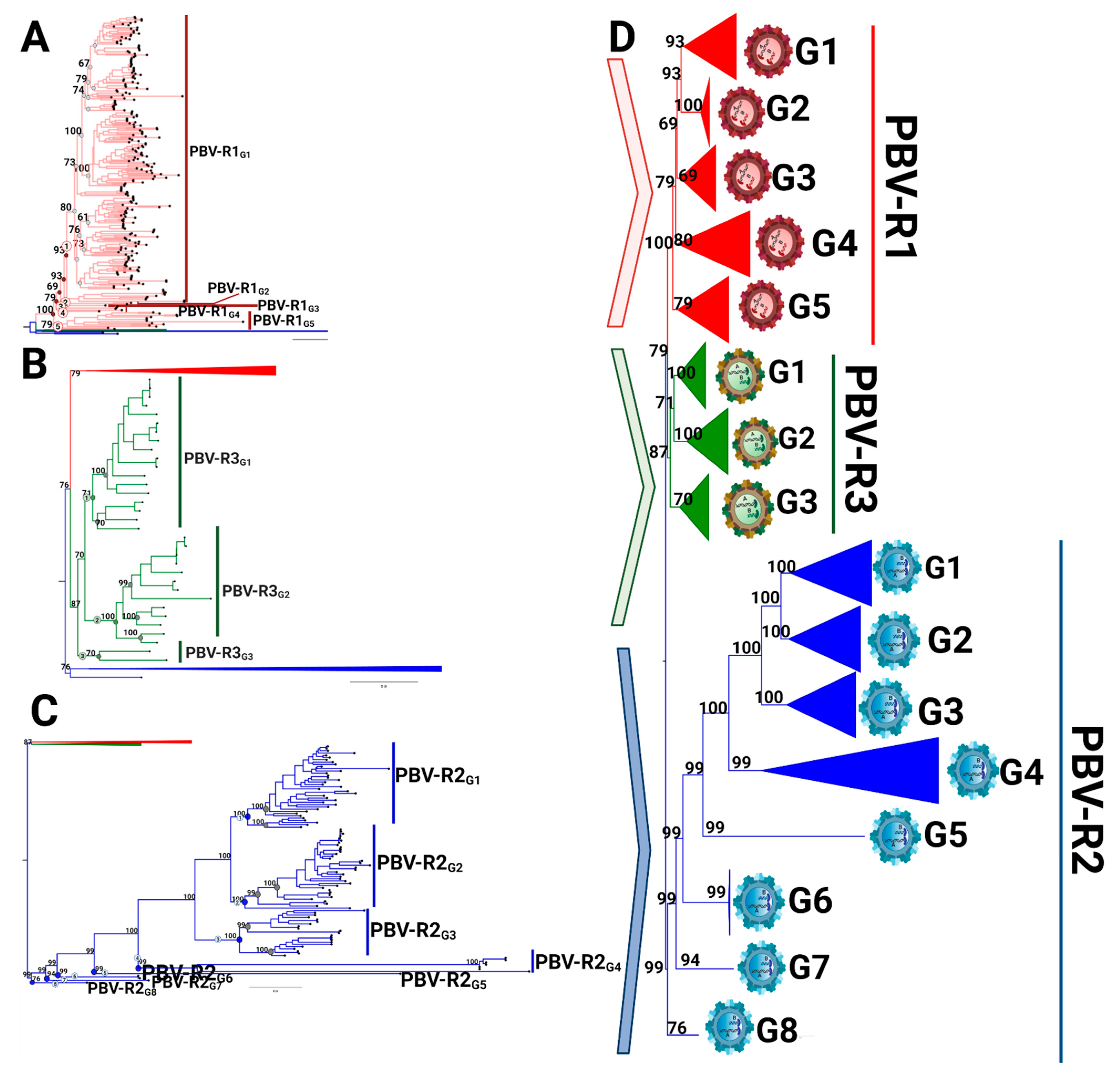 Viruses 13 01476 g005