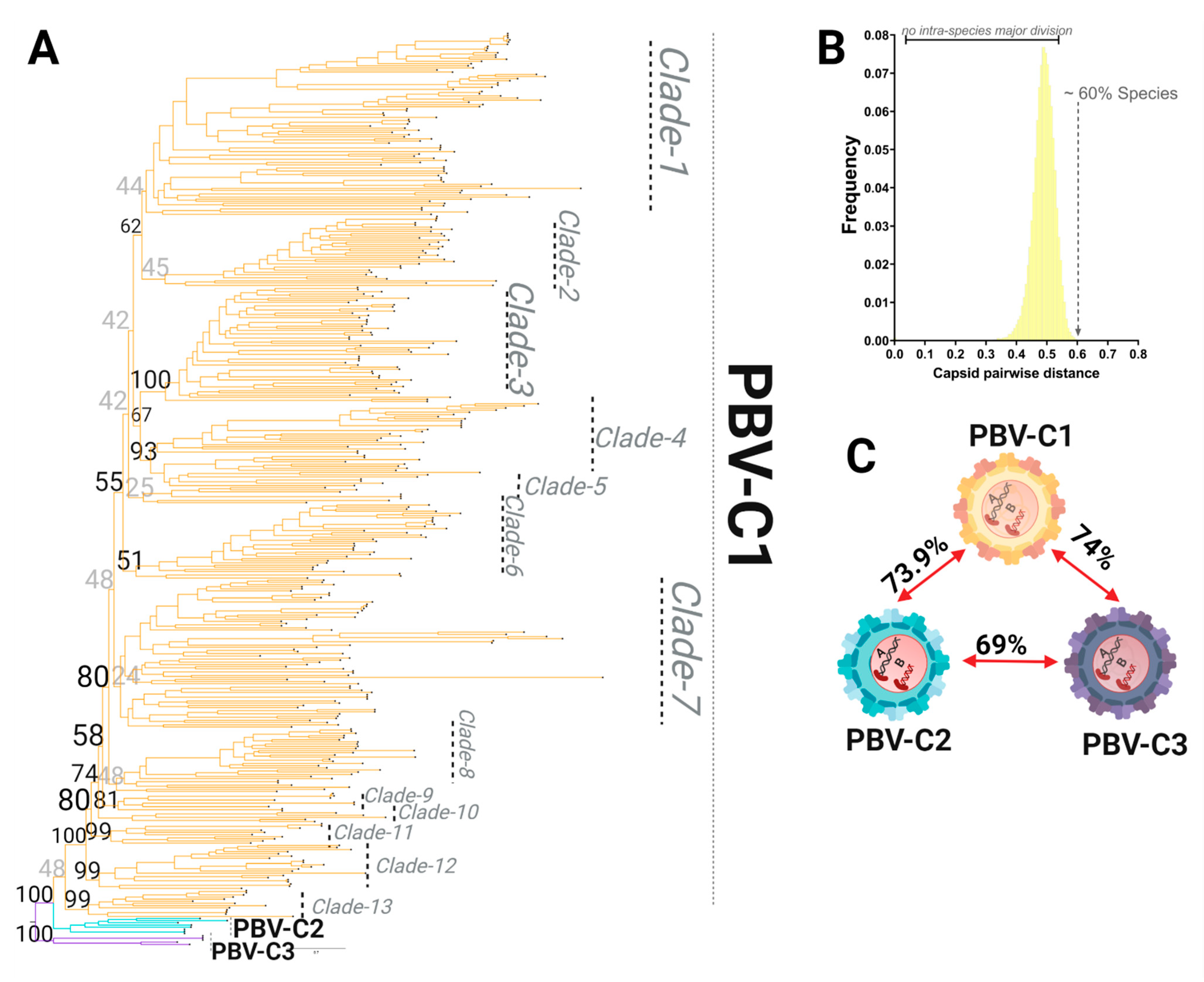 Viruses 13 01476 g006