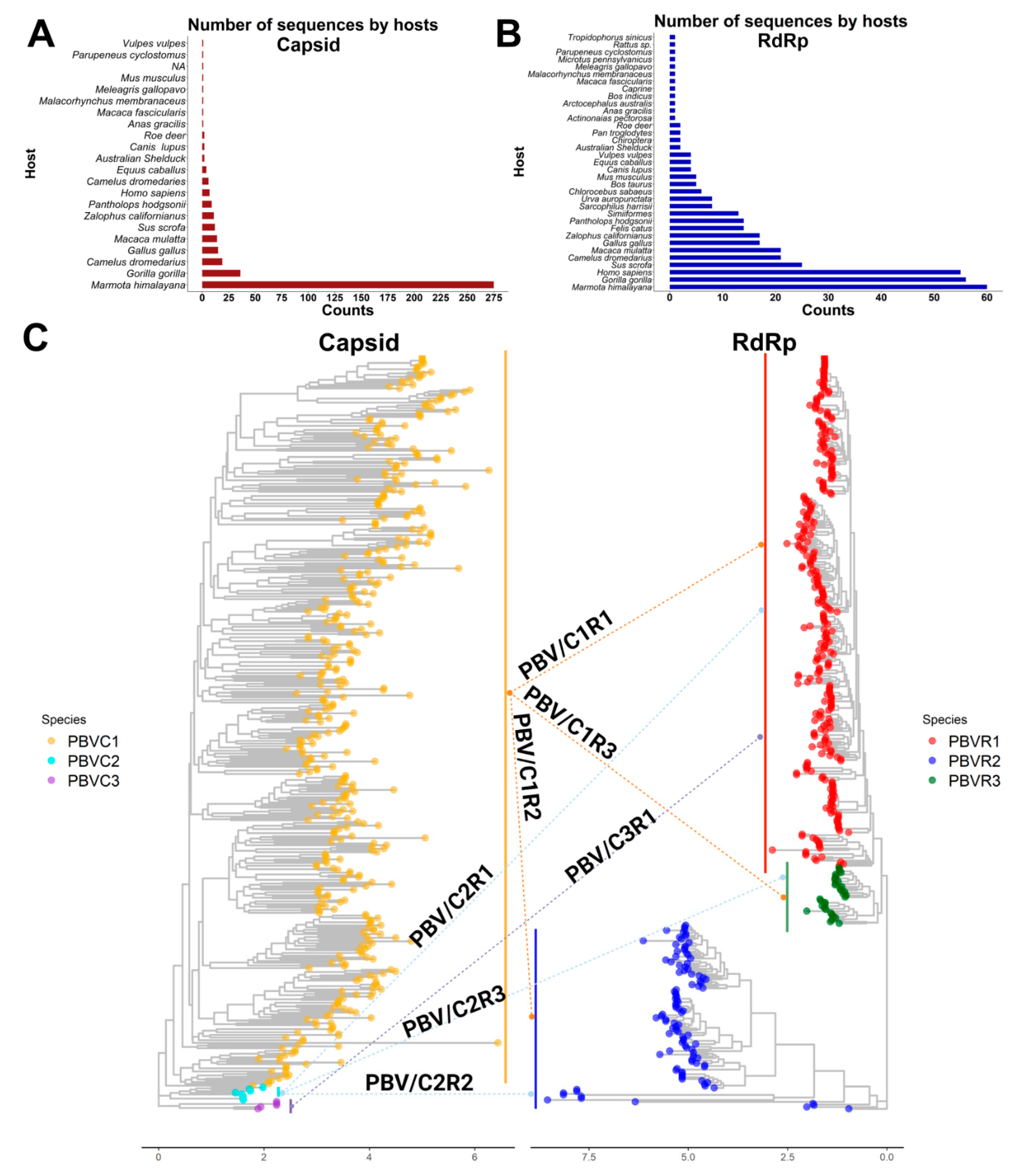 Viruses 13 01476 g007