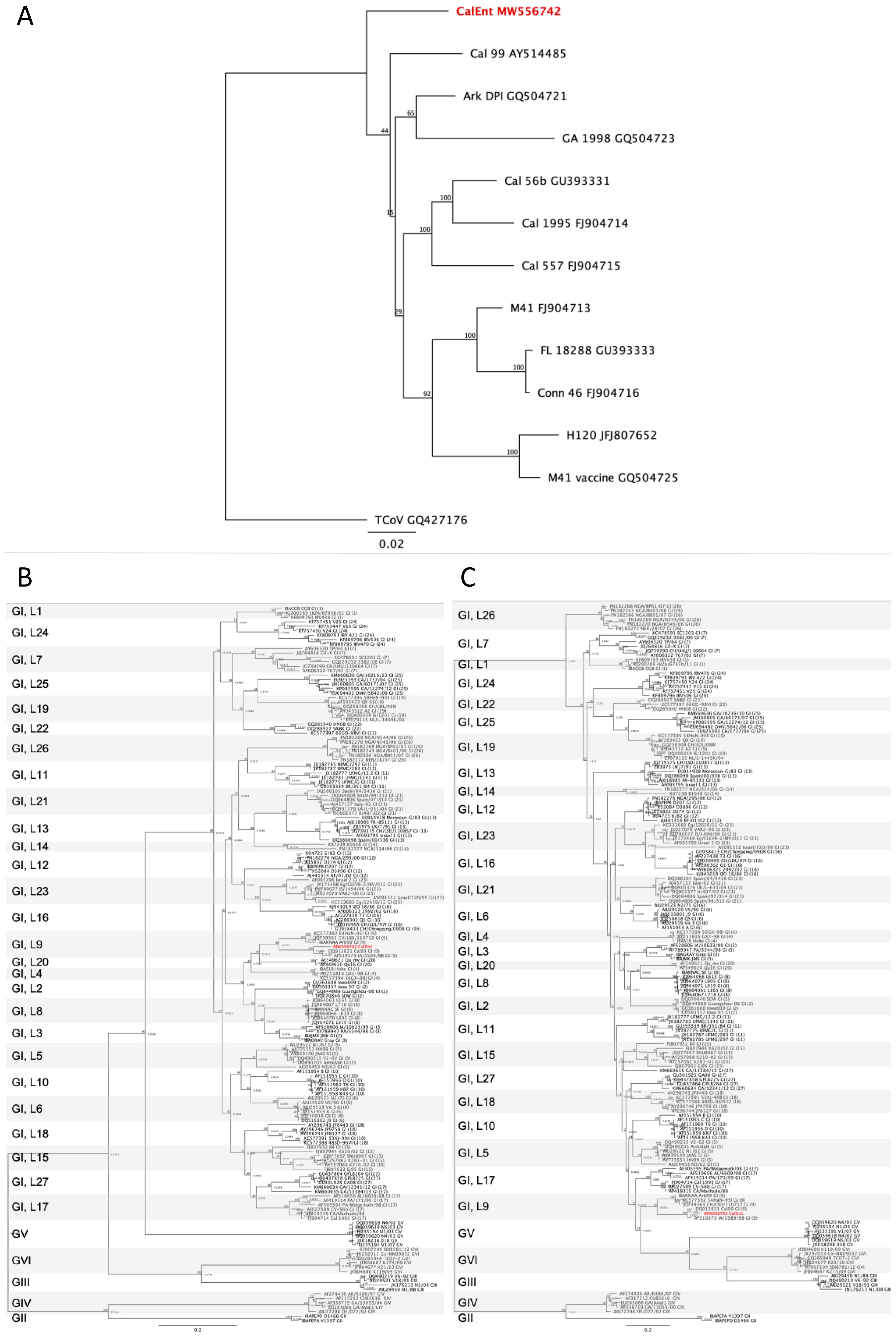 Viruses 13 01477 g001