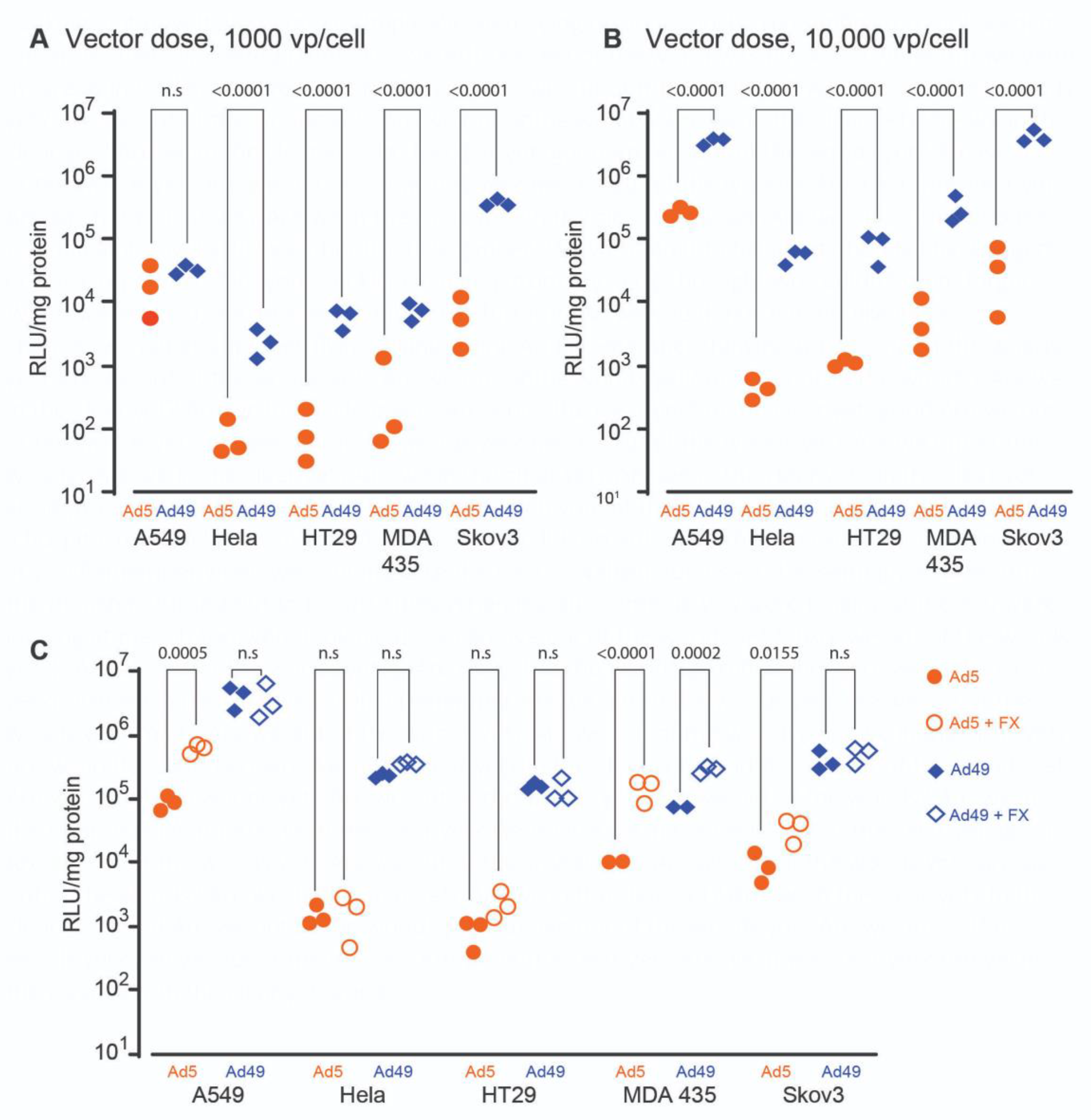 Viruses 13 01483 g001